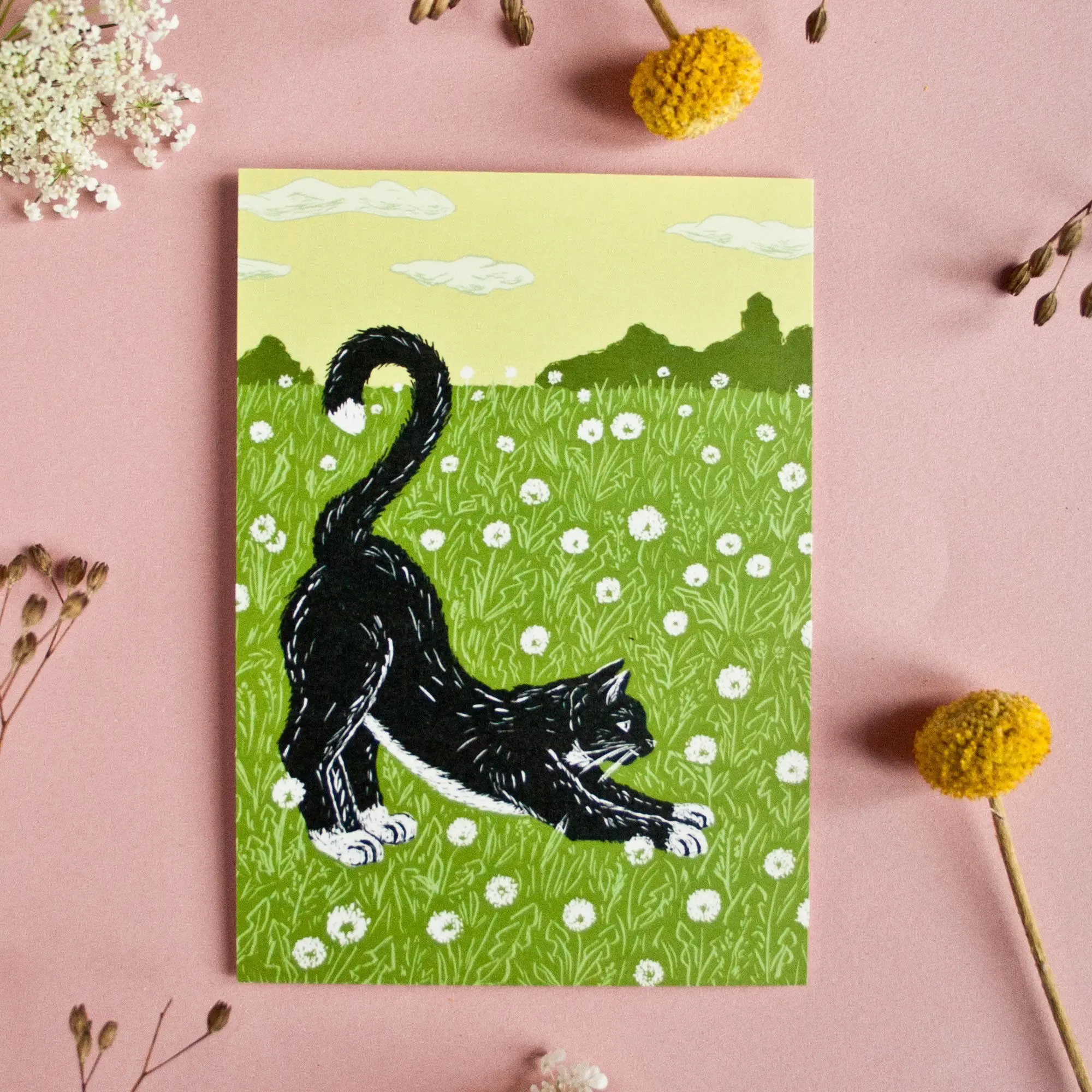 Carte postale A6, chat sur un pré de pissenlits