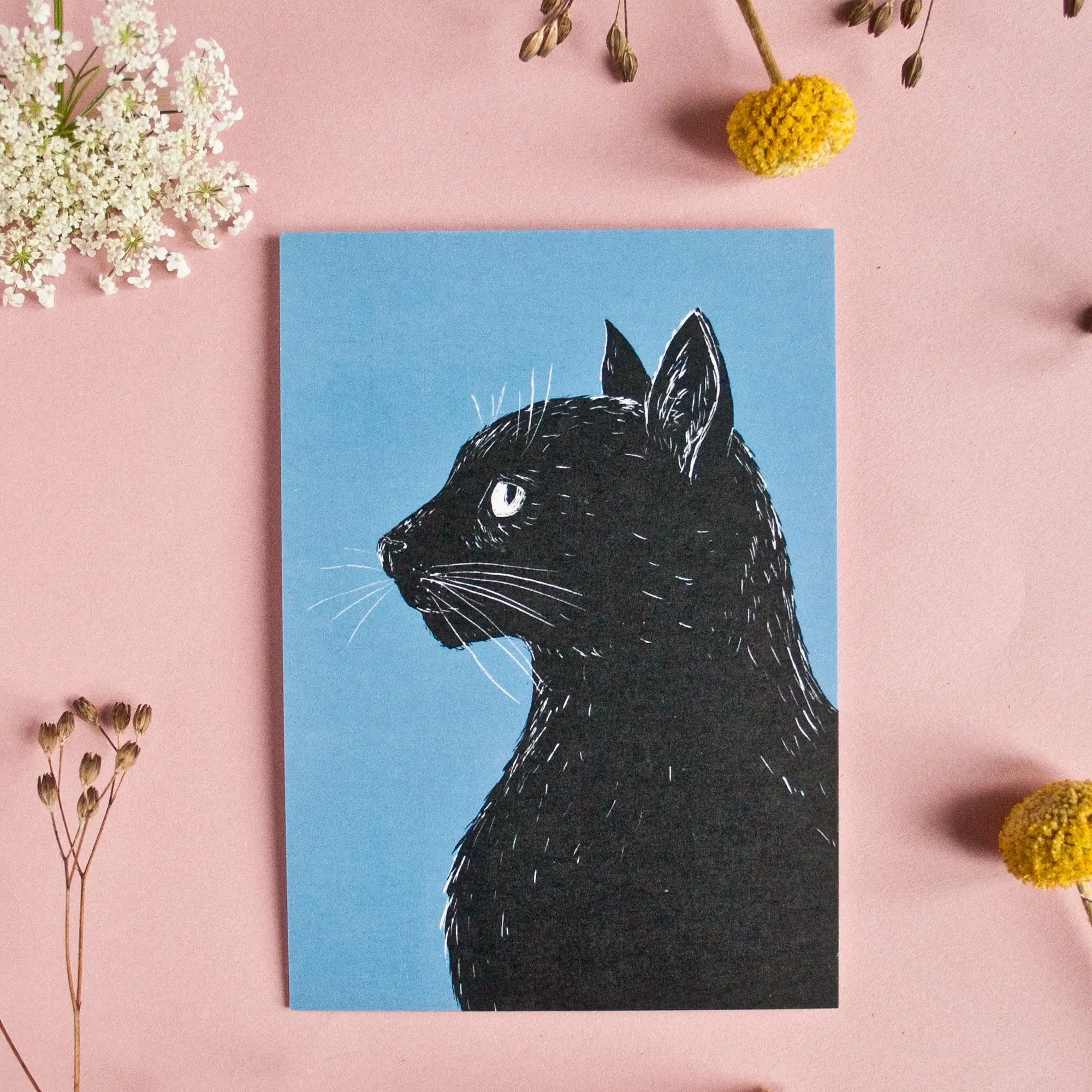 Chat de profil, carte postale A6