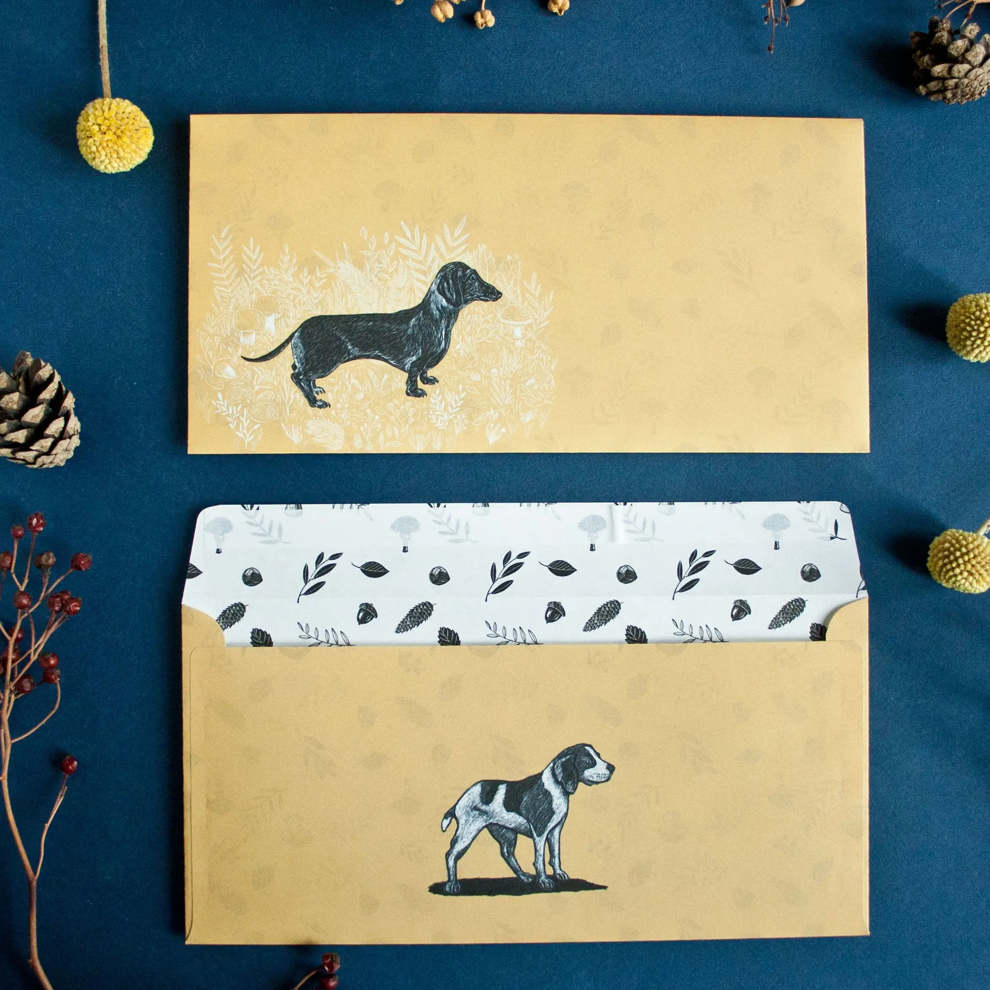 Lot de 10 enveloppes chiens, DIN long