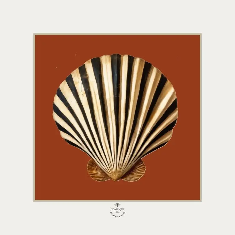 The scallop shell in sienna earth - illustration 18x18 cm
