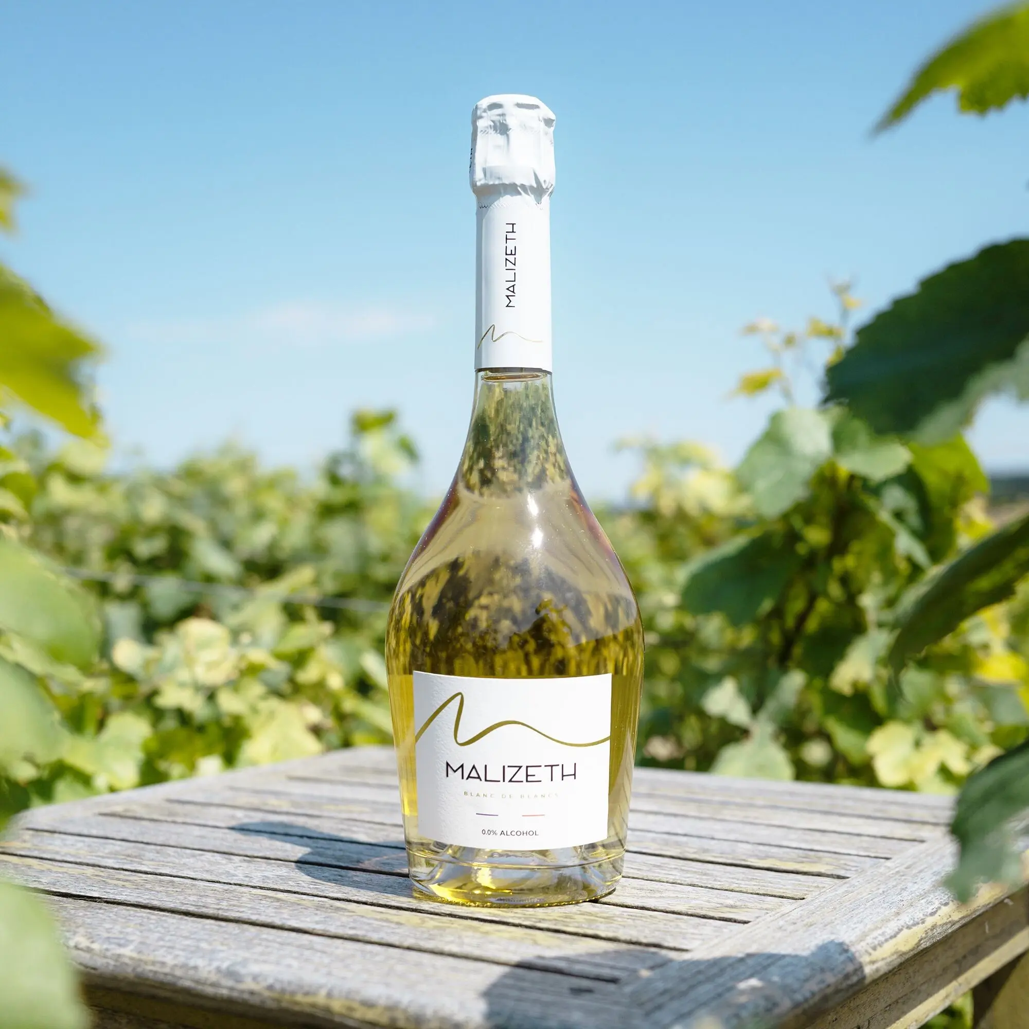 MALIZETH BLANC DE BLANCS - Vin pétillant 100% Chardonnay / 0.0% Alcool