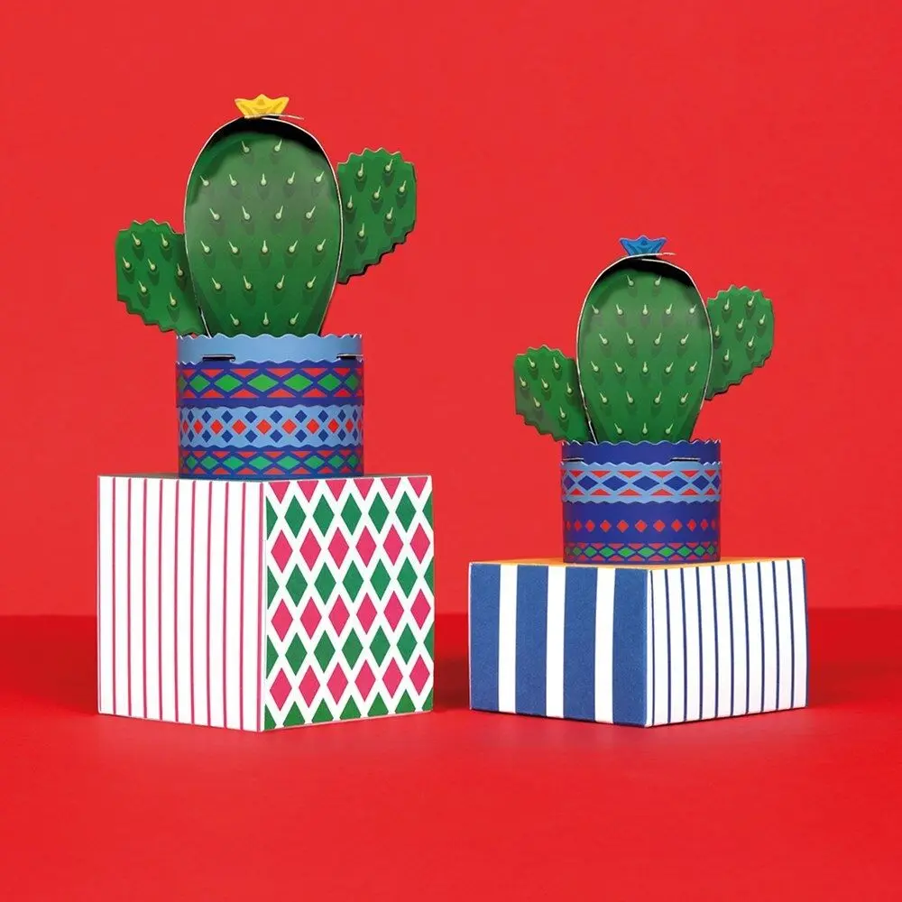 Quirky Little Cactus