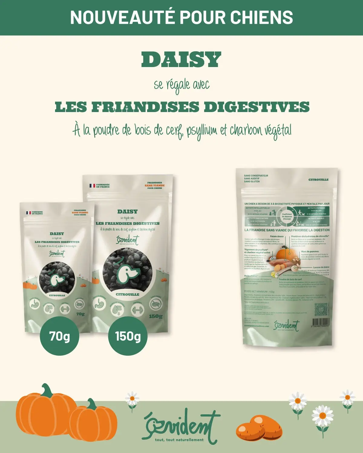 Golosinas digestivas para perros - Daisy