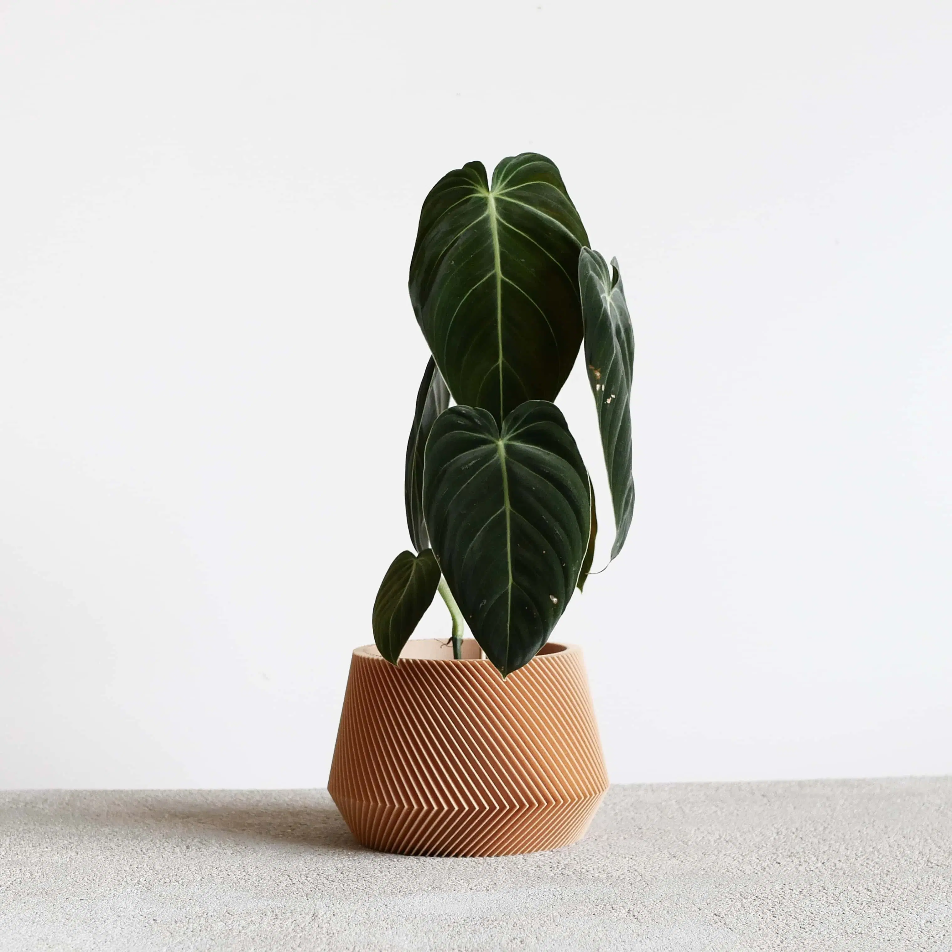 Jardinière géométrique en bois – OSLO