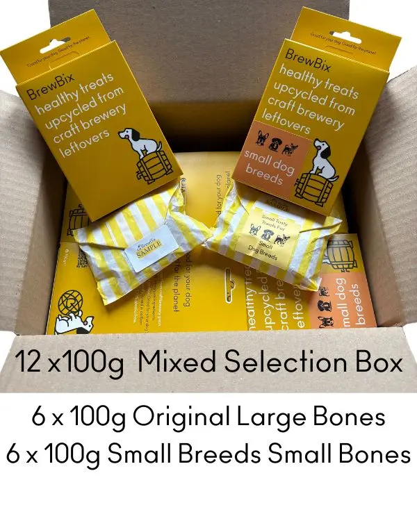 12 x 100 g gemischte BrewBix Hundeleckerlis (6 große/6 kleine Knochen) inkl. Proben + POS