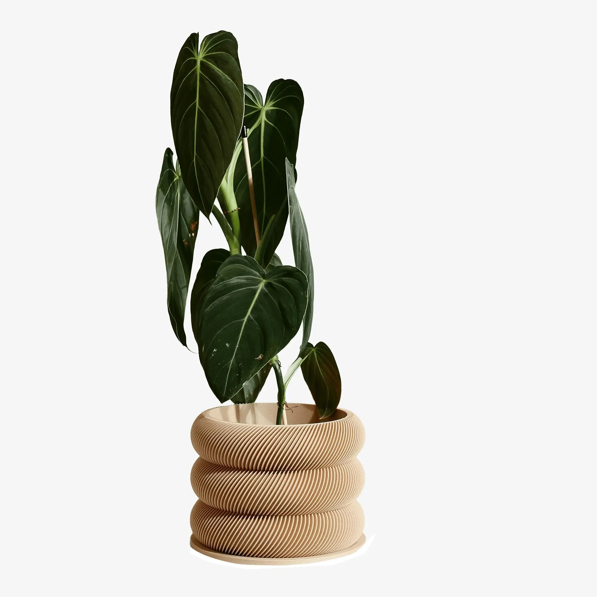 Jardinière à bulles