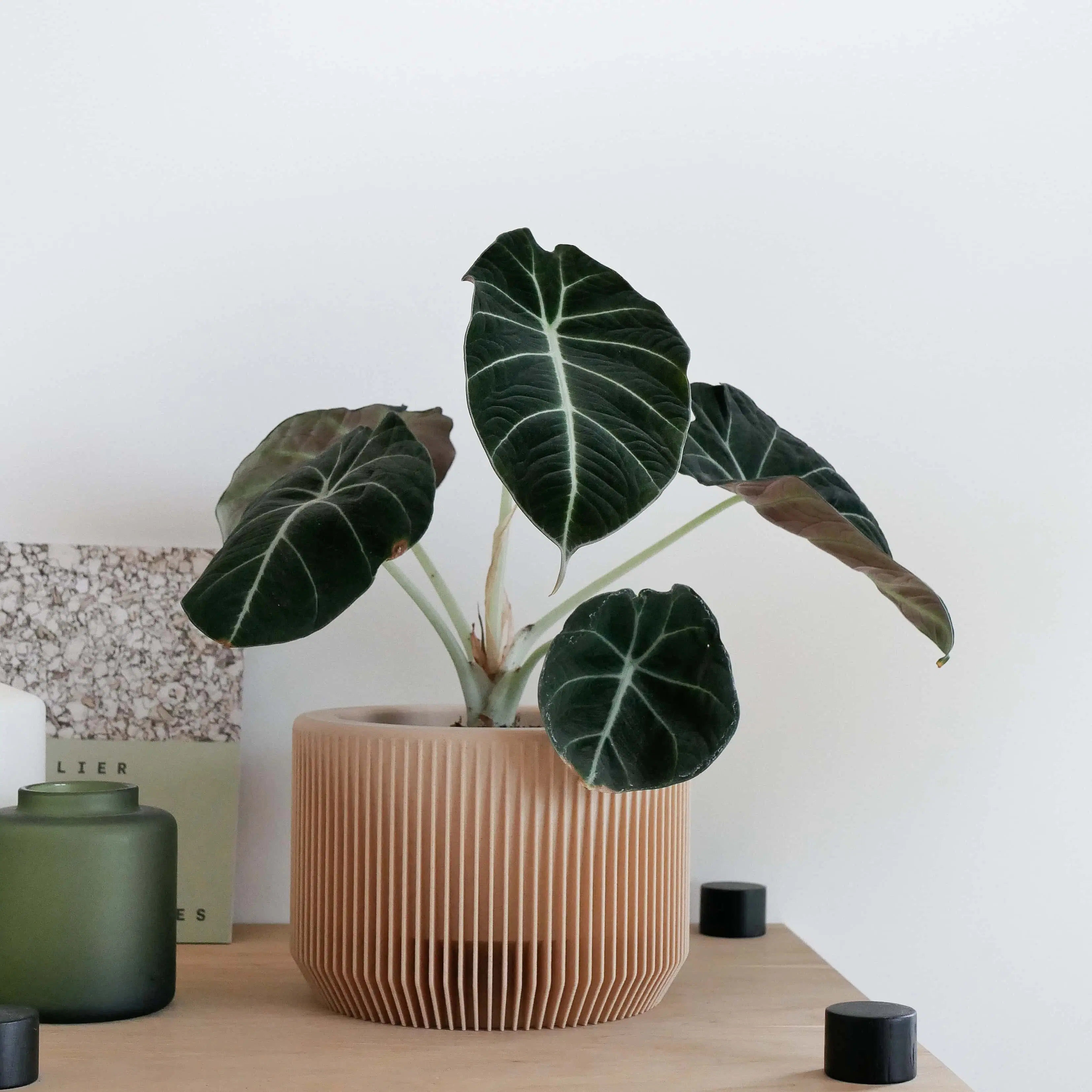 Indoor plant pot PRAHA