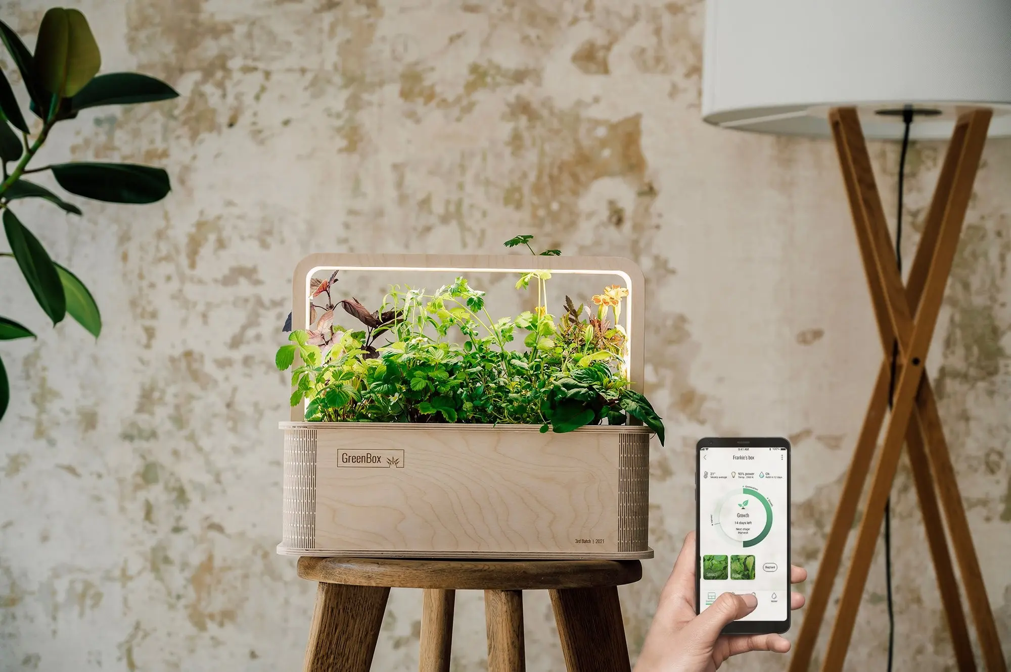 GreenBox