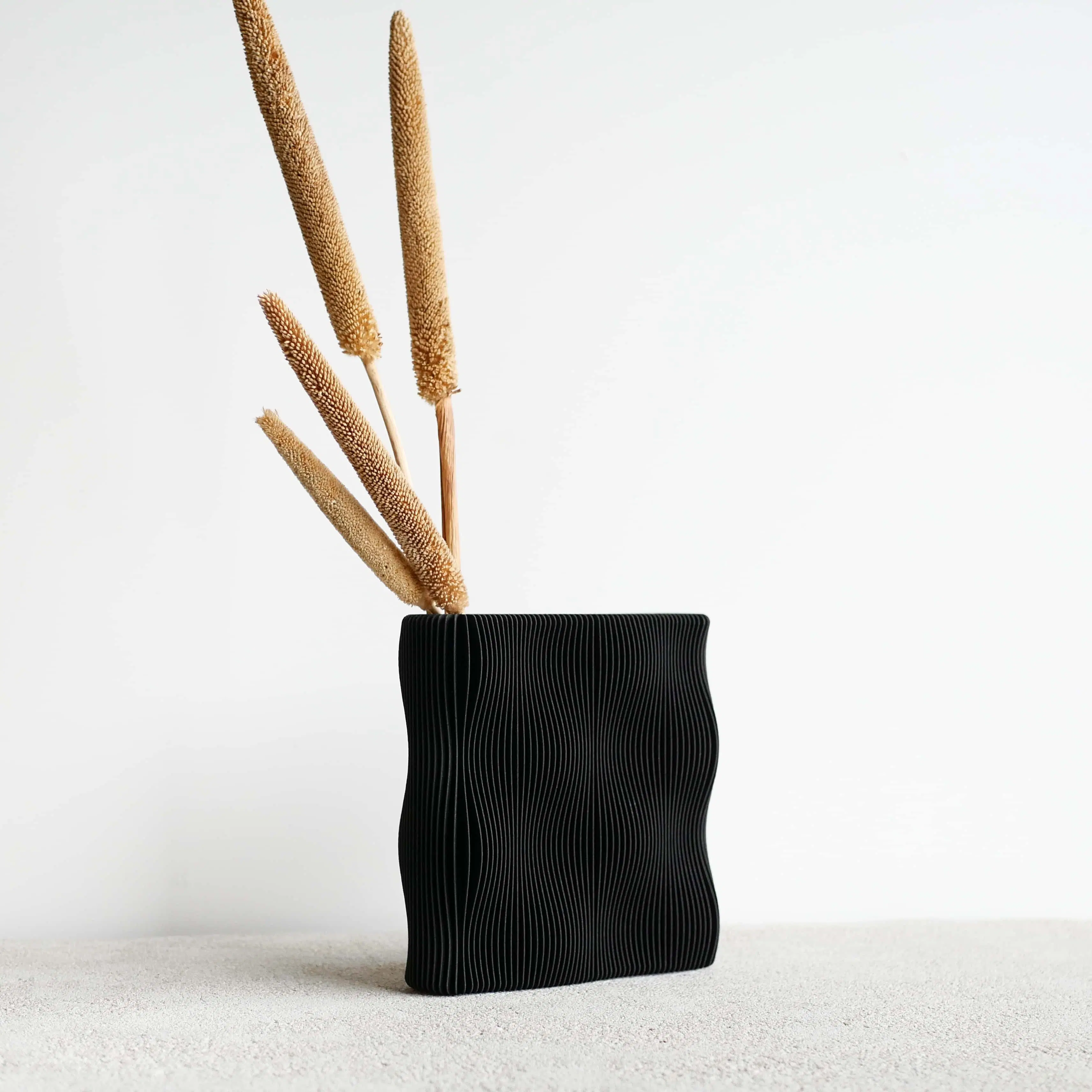 Marée du vase noir