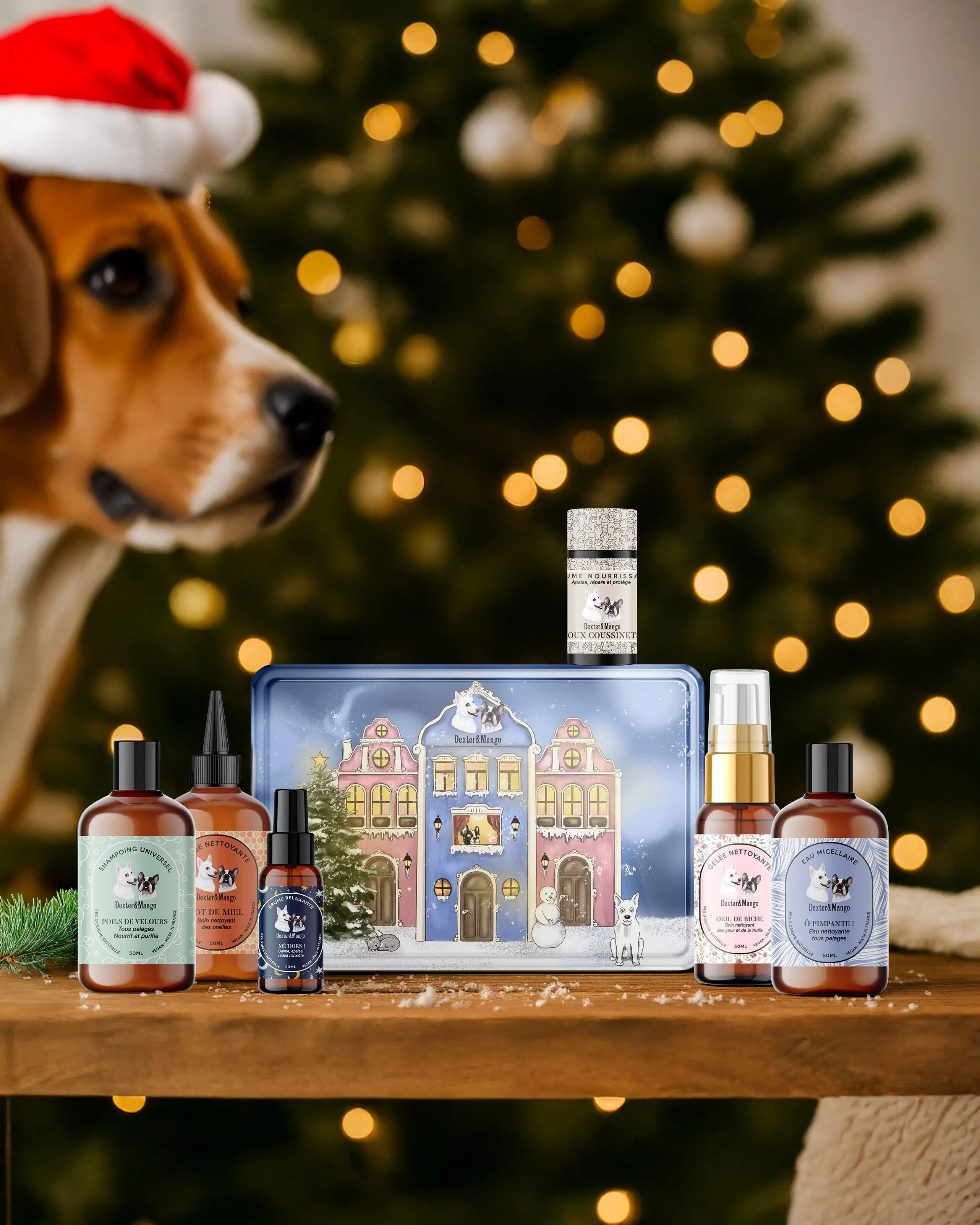 weihnachts Box