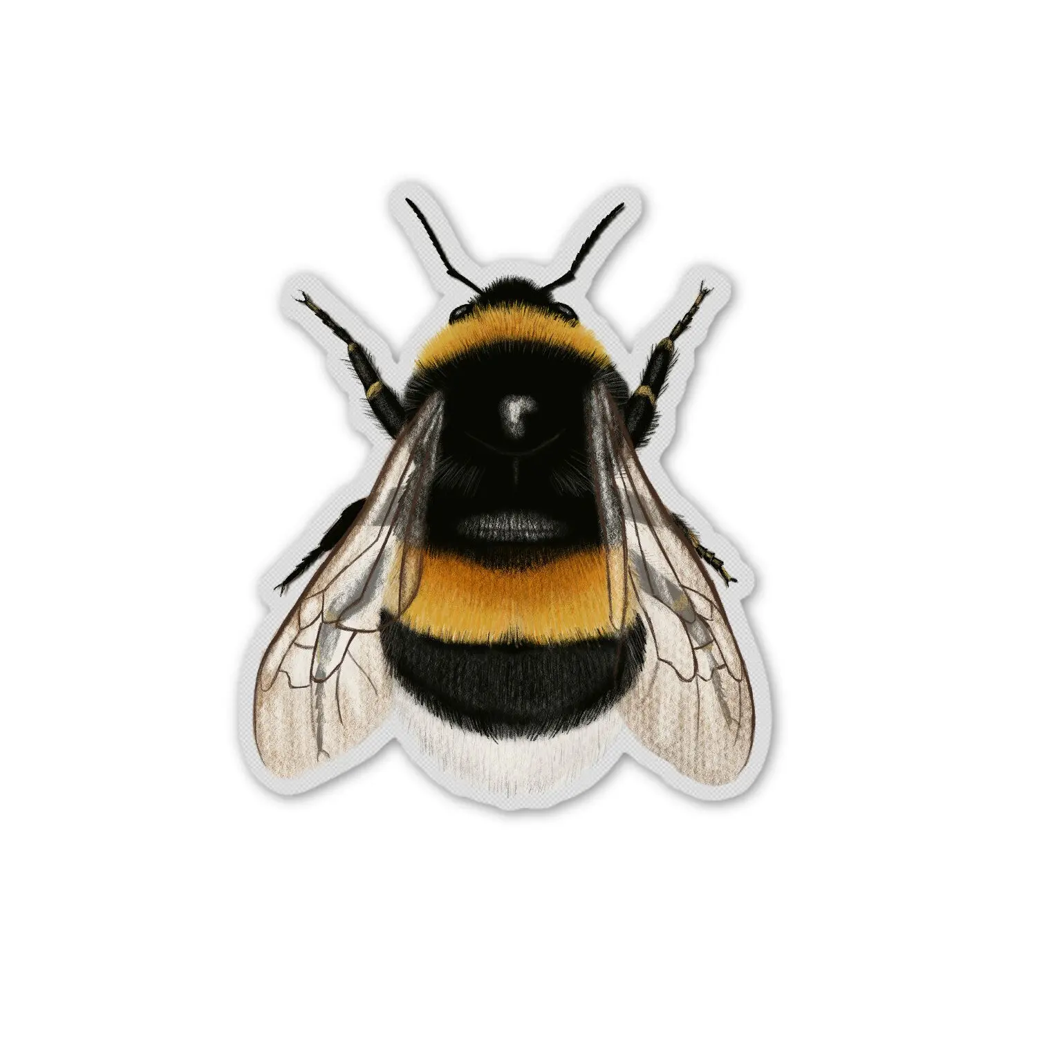 Vinyl sticker bumblebee