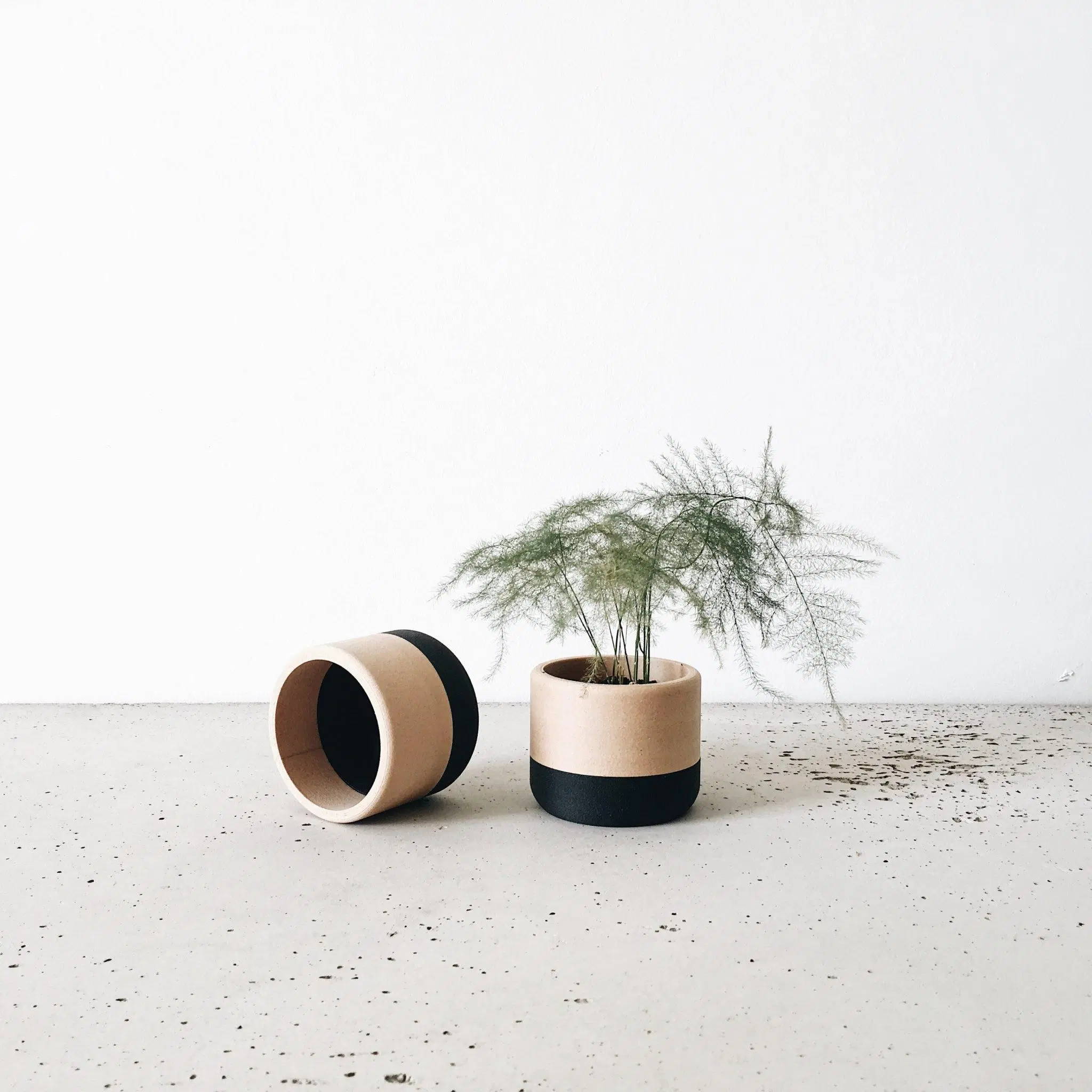 ECOTOOL Indoor Planter