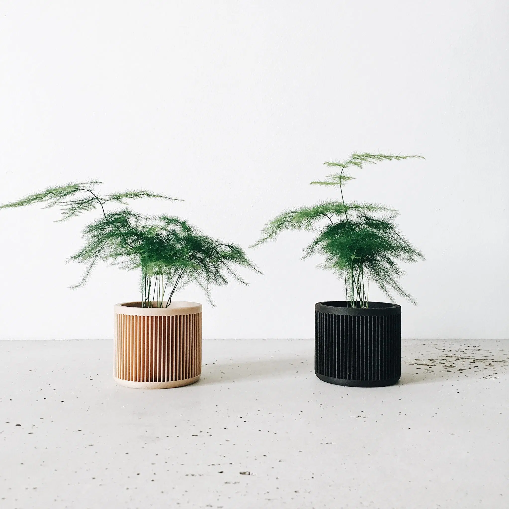 Lot de 2 jardinières - JAPON