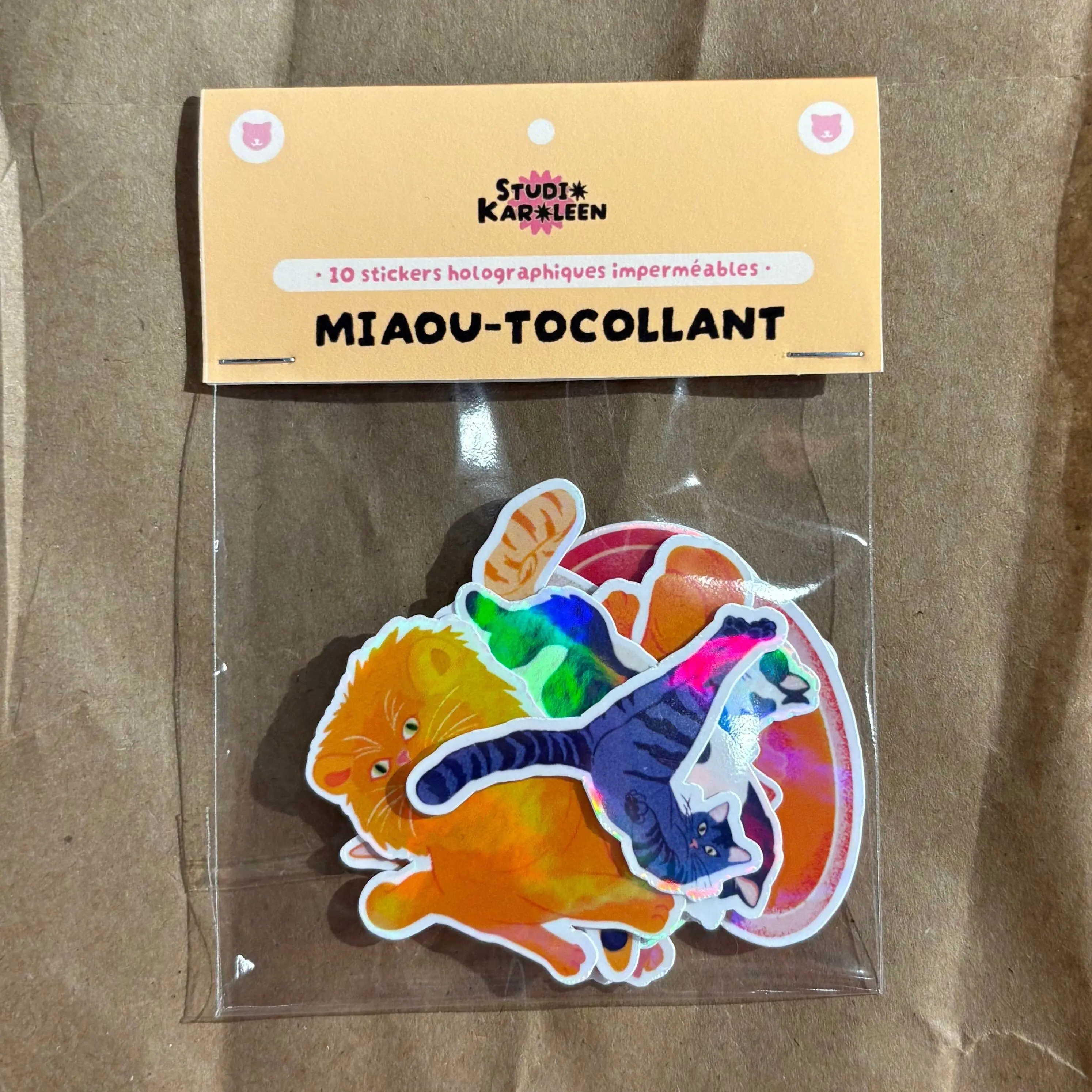 Pack of 10 Holographic Meow Stickers