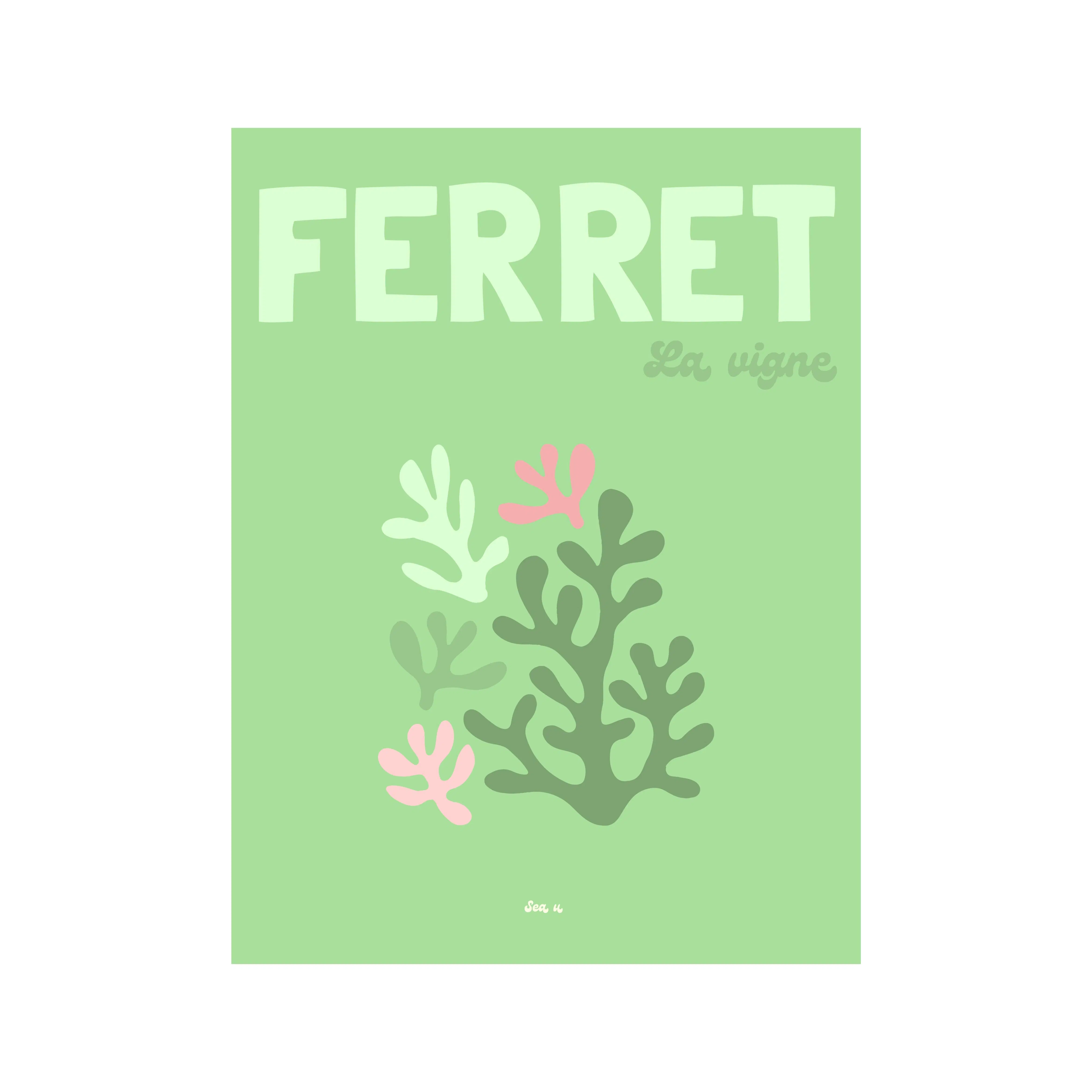 Cap Ferret poster - The Vineyard