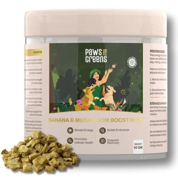 Paws for Greens Bananen-Pilz-Boost-Bites Hundeleckerlis
