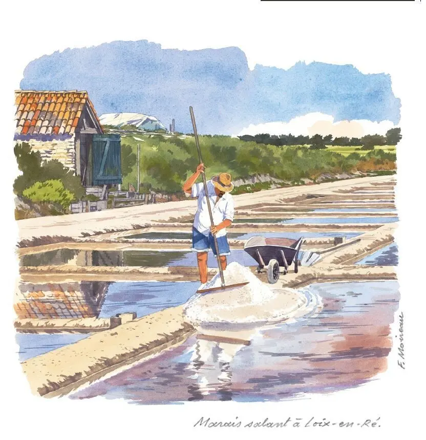 POSTCARDS CP10 SALT MARSH