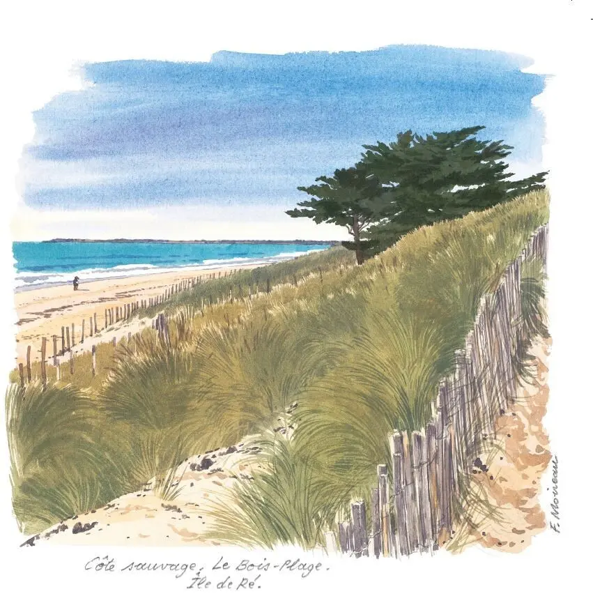 POSTCARDS CP14 WILD COAST ILE DE RE