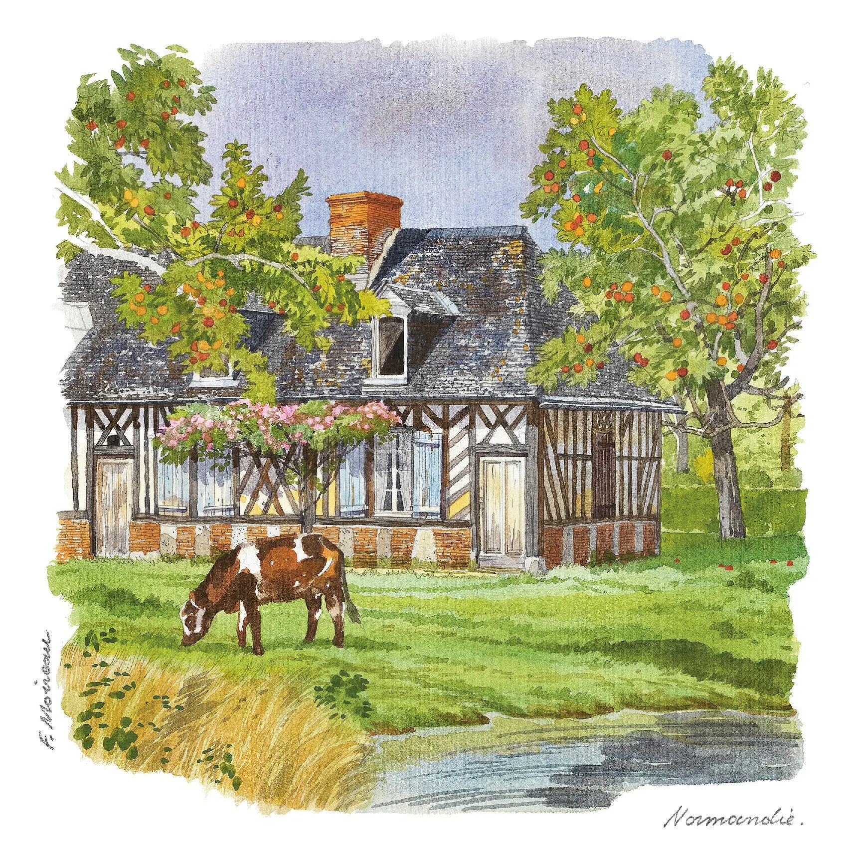 POSTCARDS FABRICE MOIREAU COW AND HOUSE PAYS D'AUGE CP 32