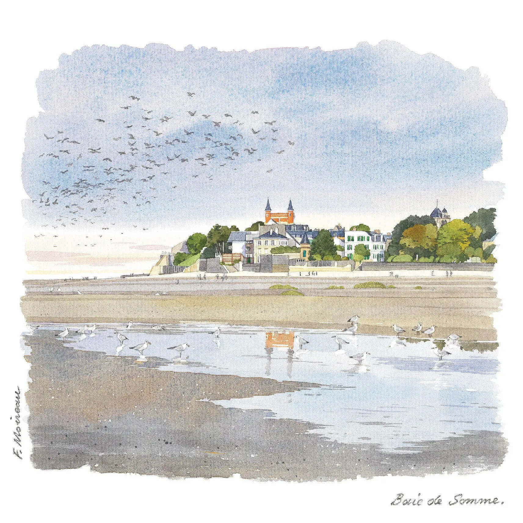 POSTCARDS FABRICE MOIREAU BIRDS BAY OF SOMME LE CROTOY CP 33