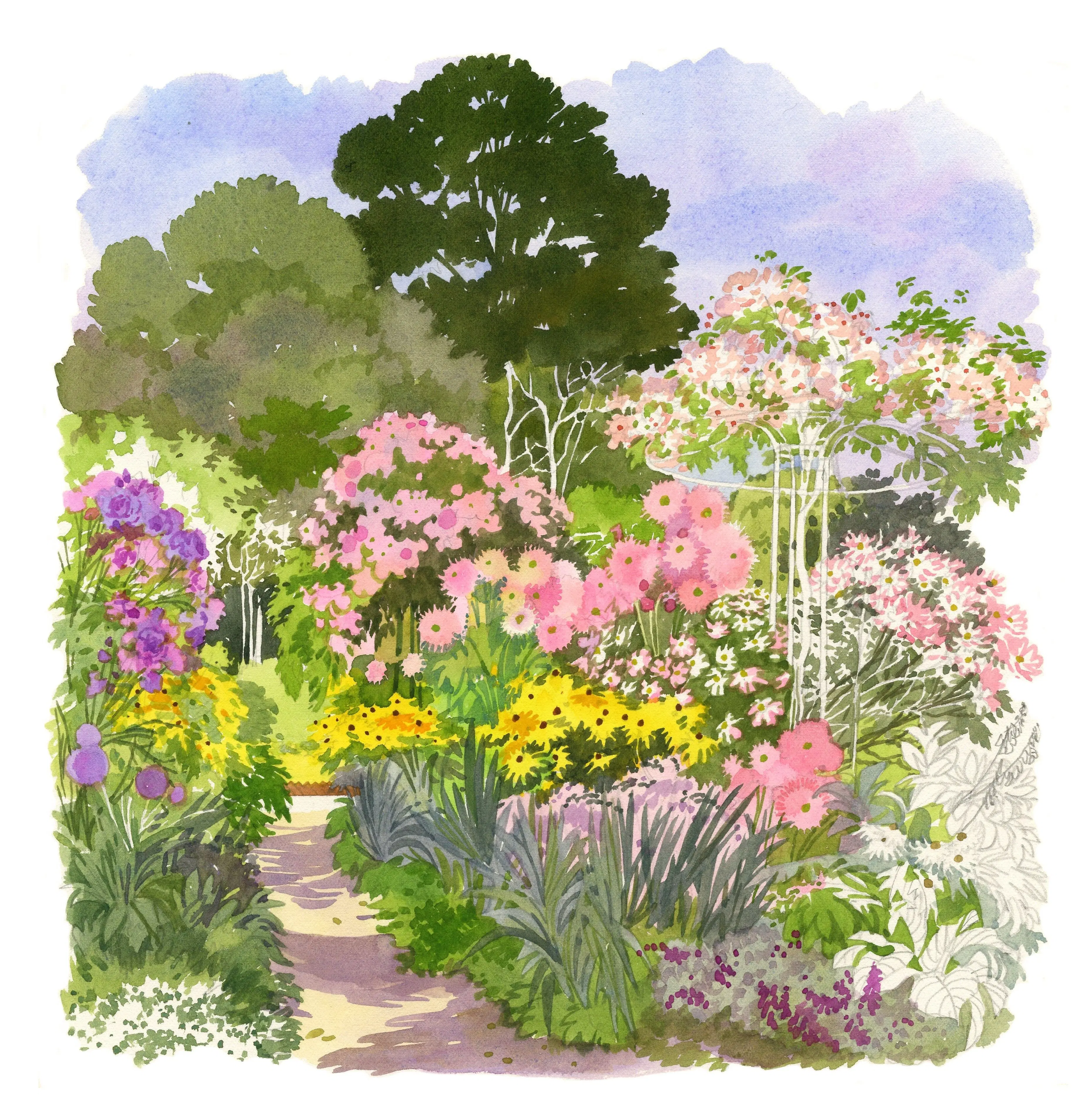POSTCARDS FABRICE MOIREAU CLAUDE MONET'S GARDEN GIVERNY CP 48