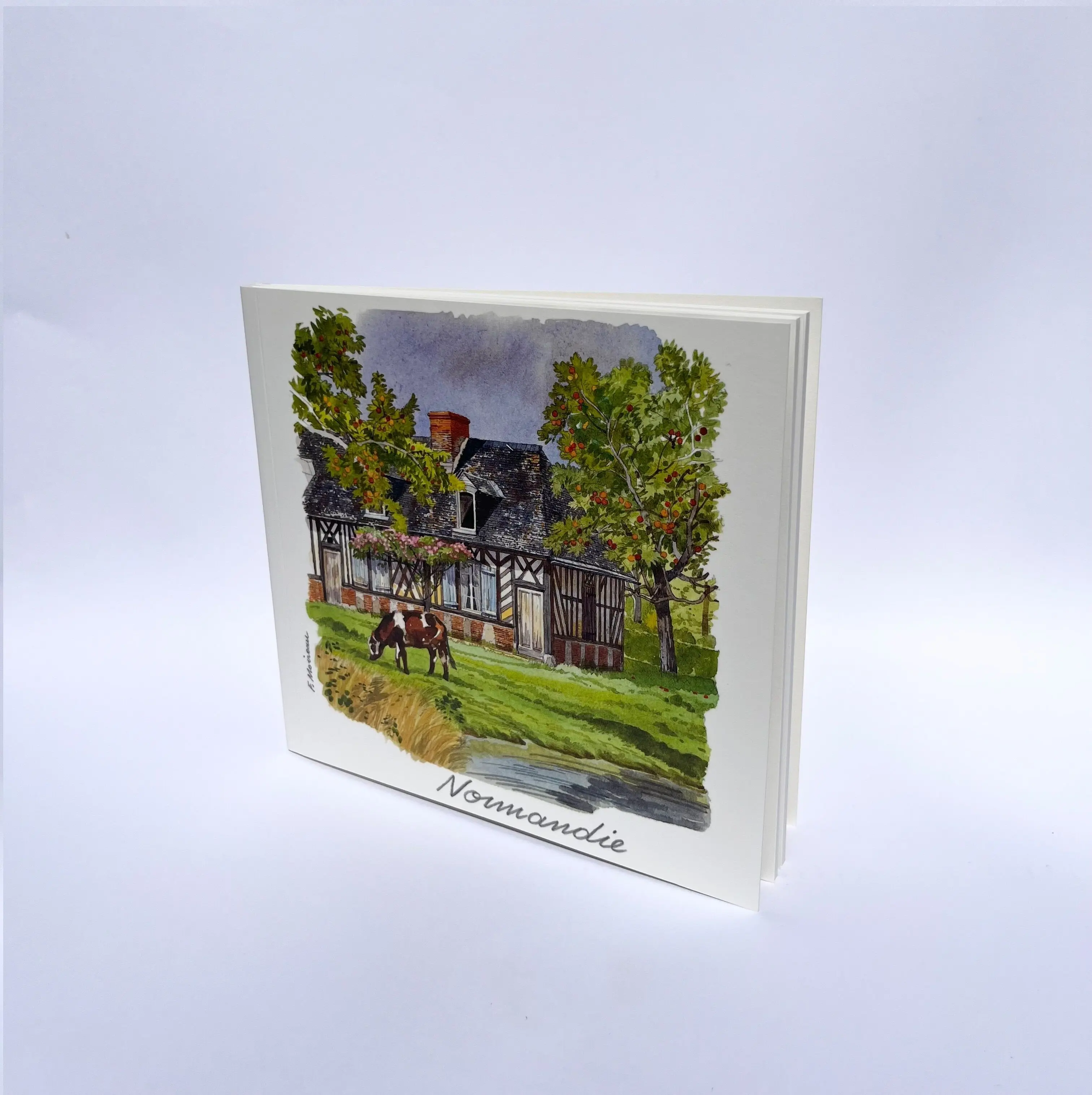 Normandy Notebook CA21