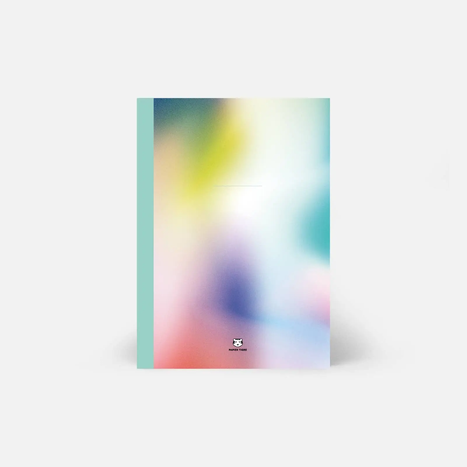 A5 Stapled Notebook - Hol