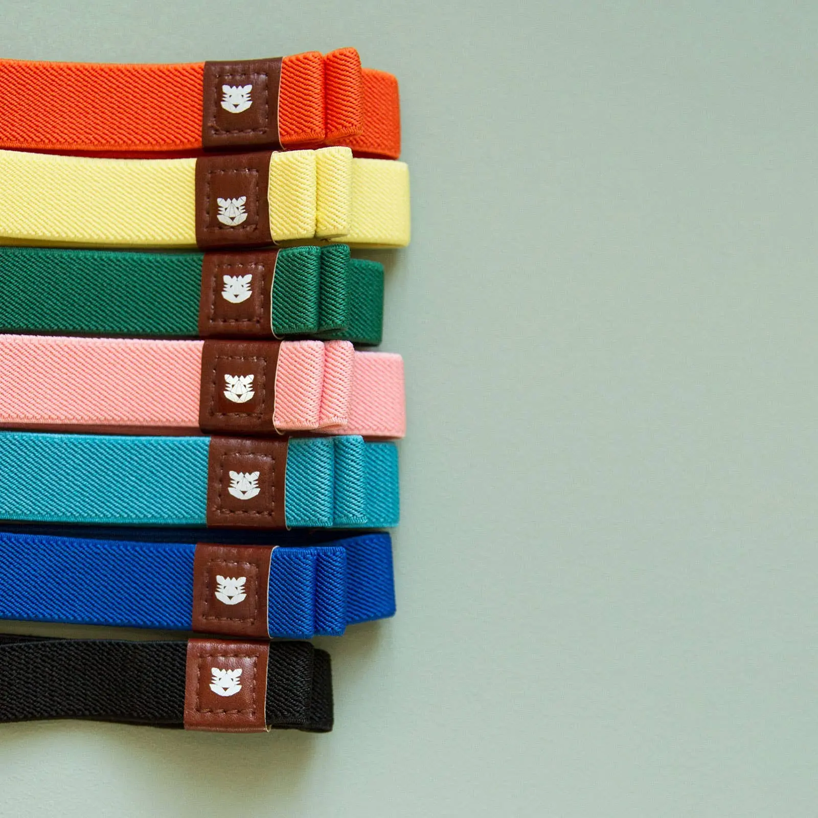 Traveler Elastic Band