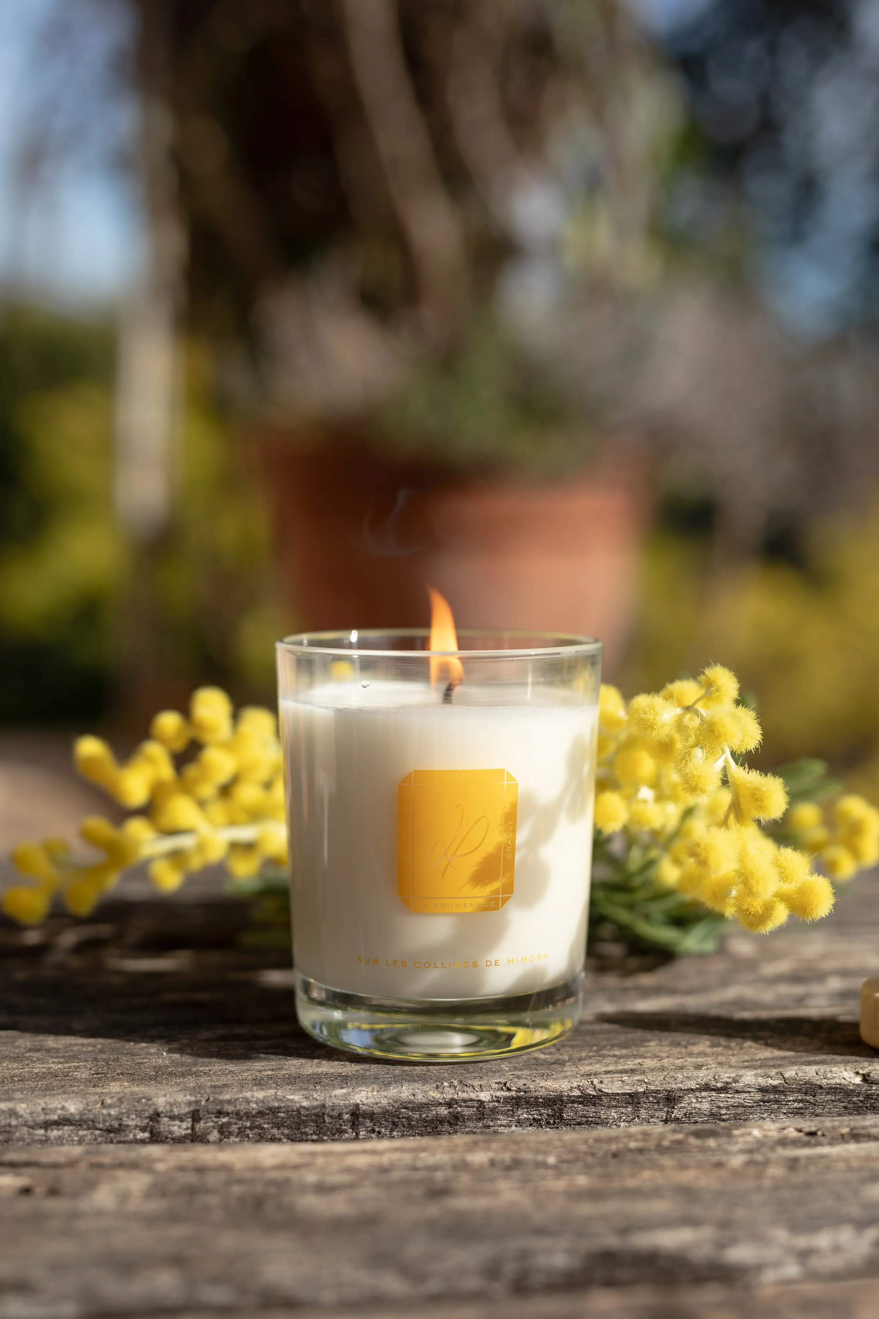 Bougie parfumée - Sur les collines de mimosa (cire 100% végétale) - 180g