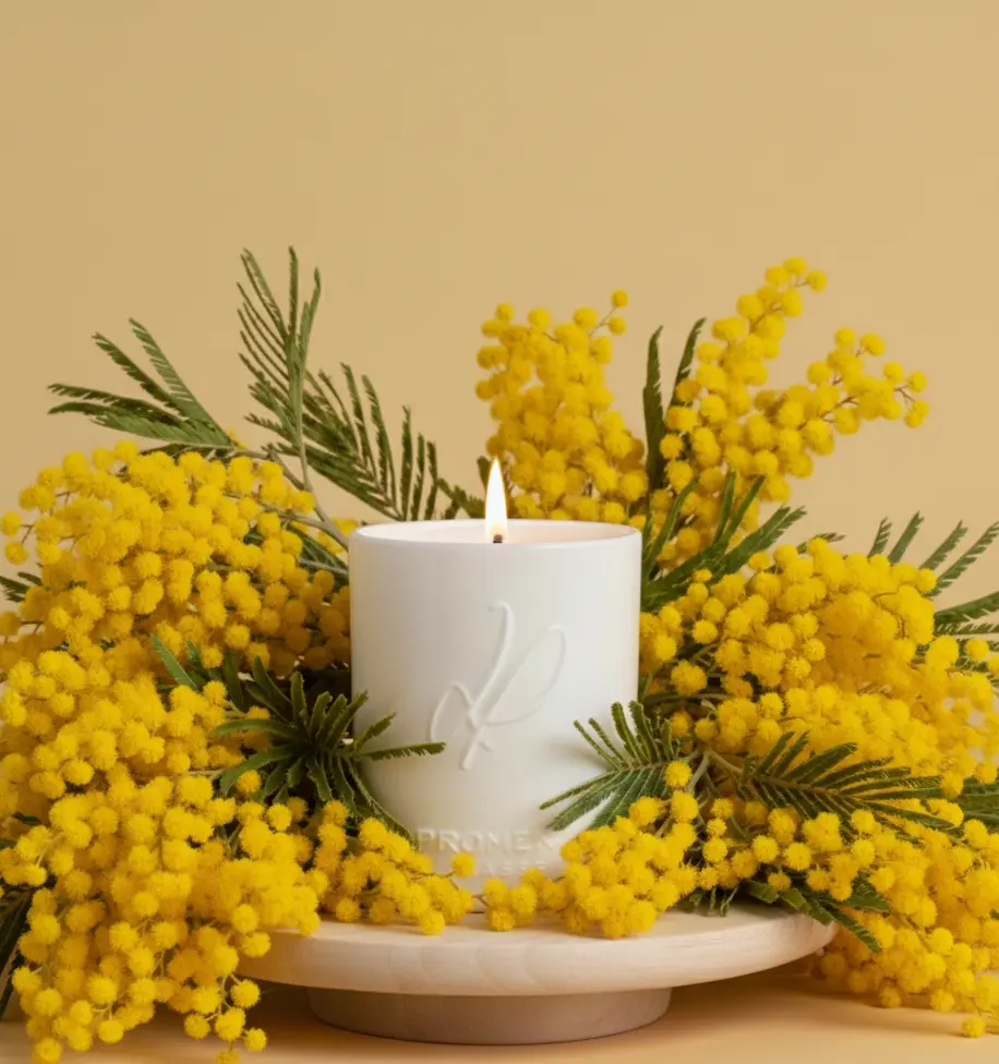 Bougie parfumée céramique - Sur les collines de mimosa (cire 100% végétale) - 320g