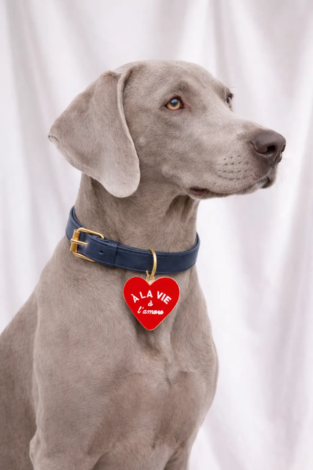 Médaillon coeur