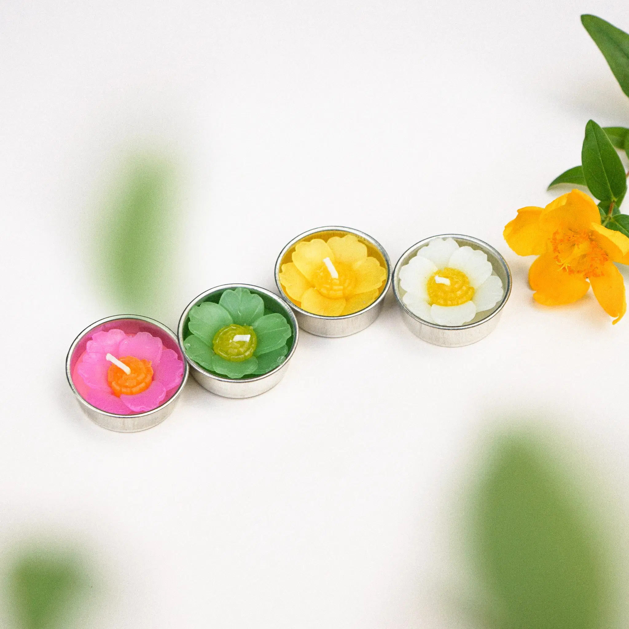 Assorted Primrose Scented Tealights