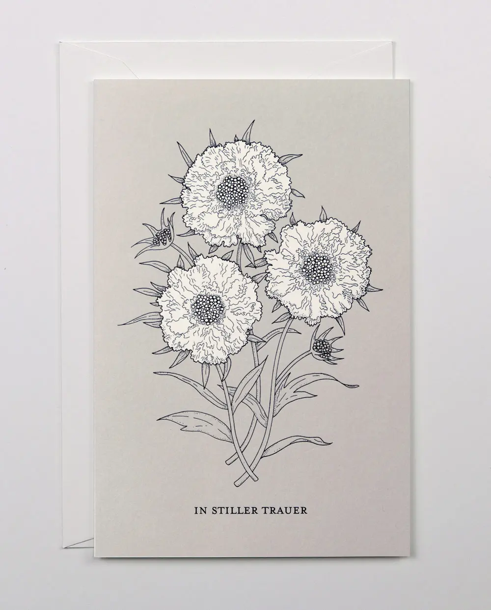 Carte de sympathie/de condoléances Scabiosa