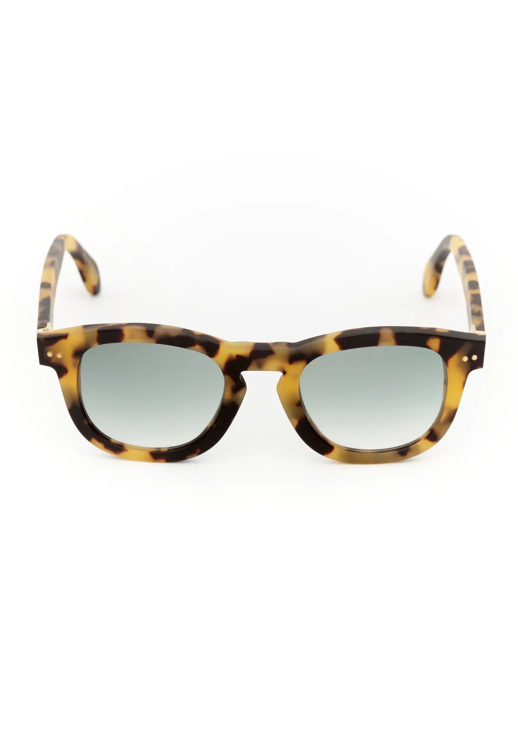 Hector III • Tortoiseshell