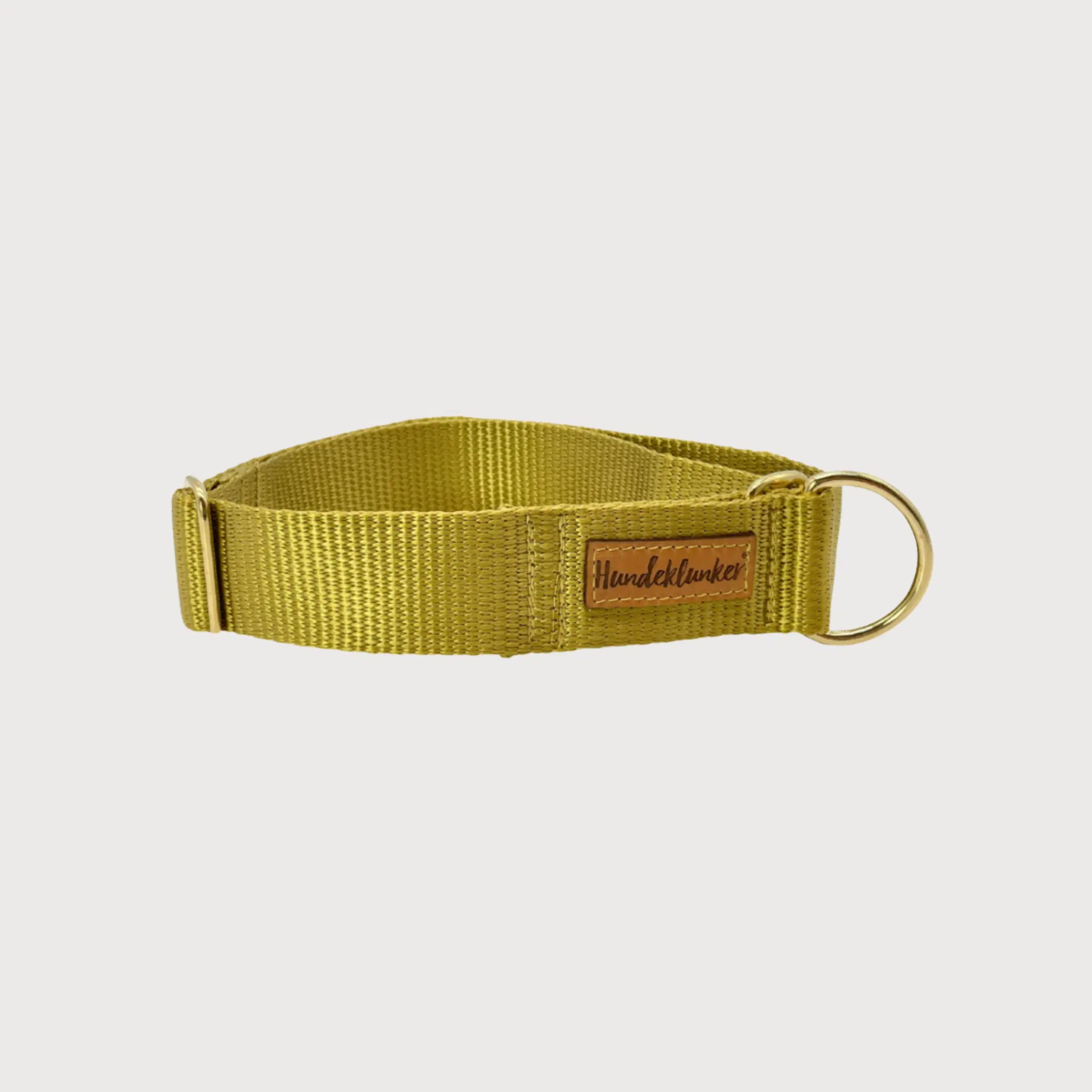 Collier coulissant pour chien Champagne basique