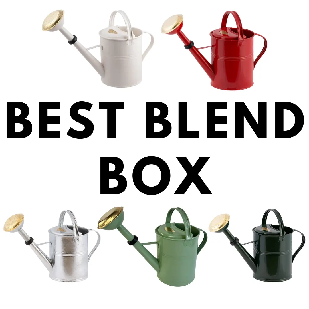 Best Blend - Regadera de 5 litros