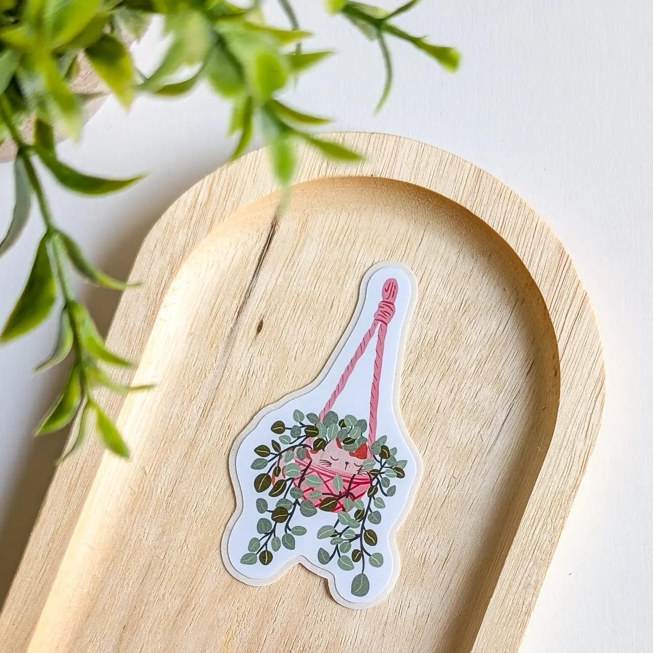 Sticker – Chat dans une plante suspendue