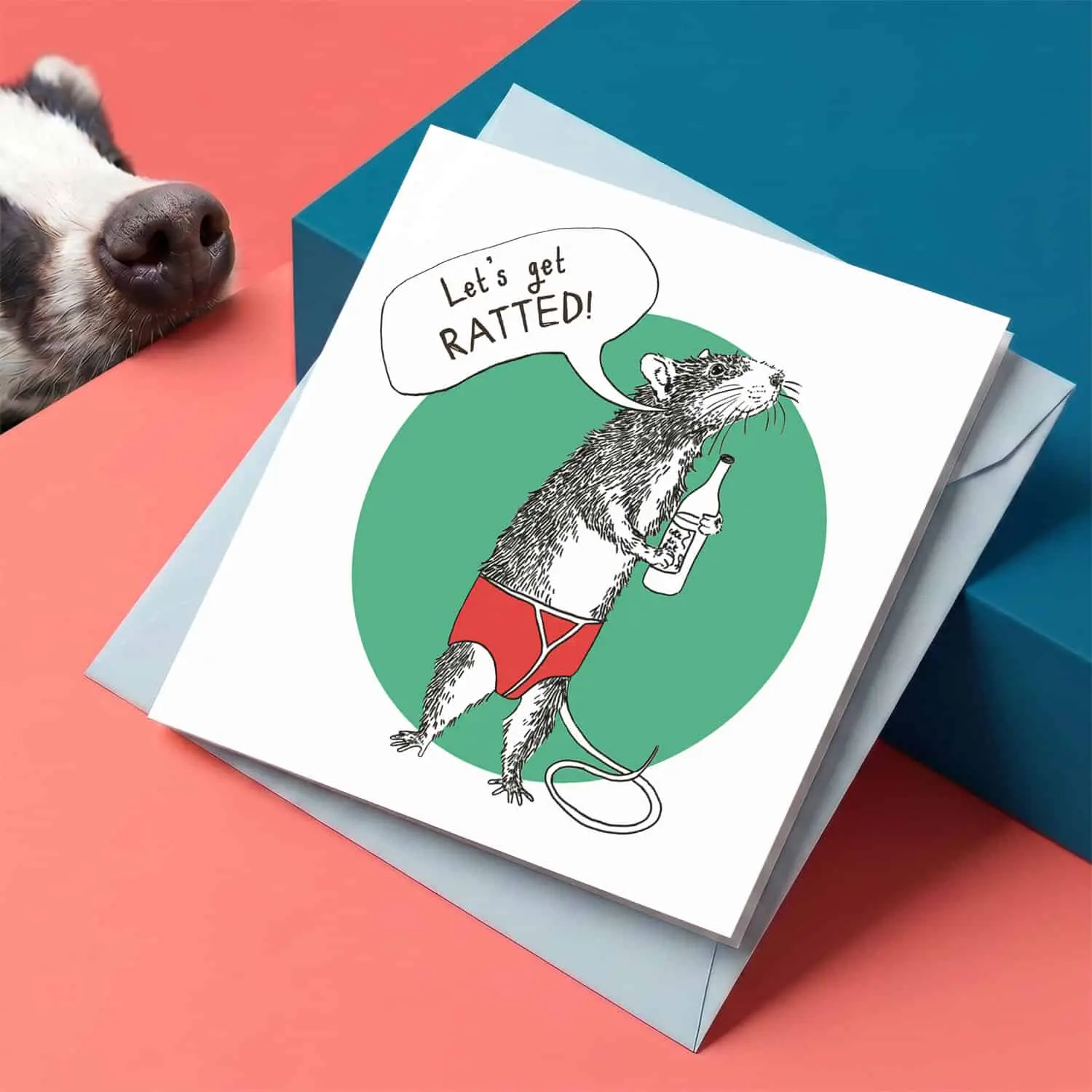 Carte Ratted de Jimbobart - Carte d'anniversaire humoristique