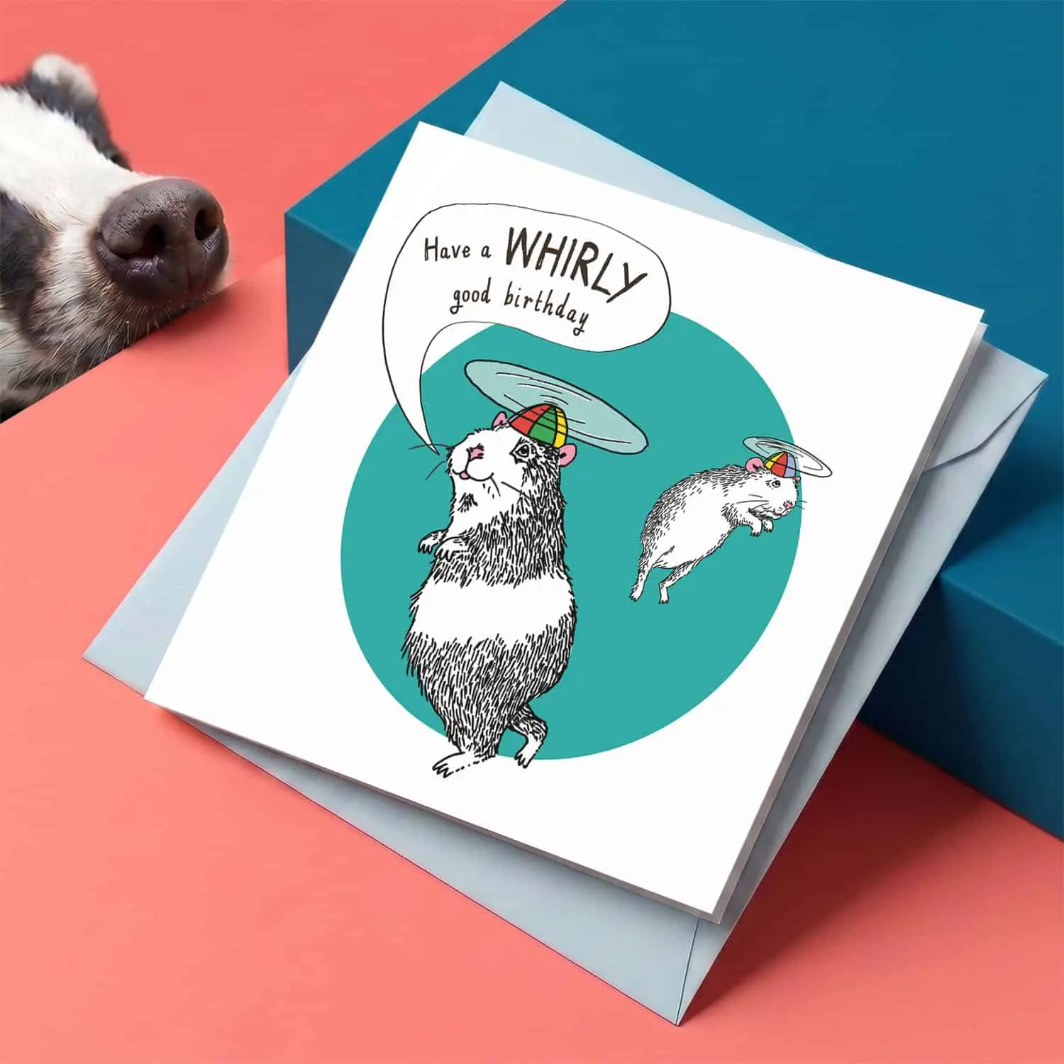 Carte Whirly Good de Jimbobart - Carte d'anniversaire humoristique