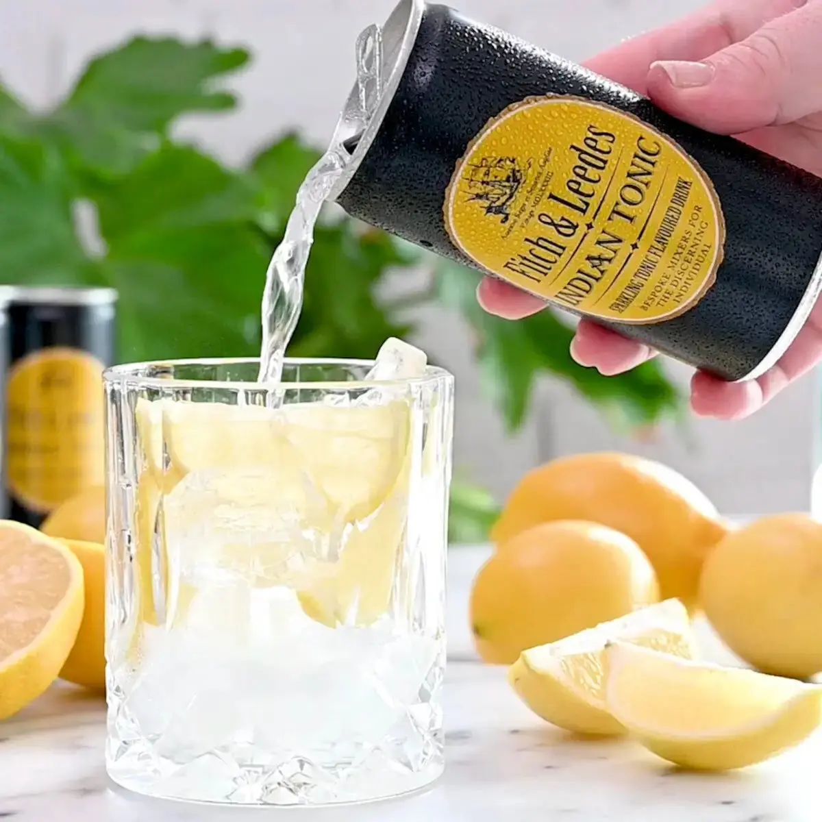 Fitch & Leedes Indian Tonic 200 ml - Lot de 24