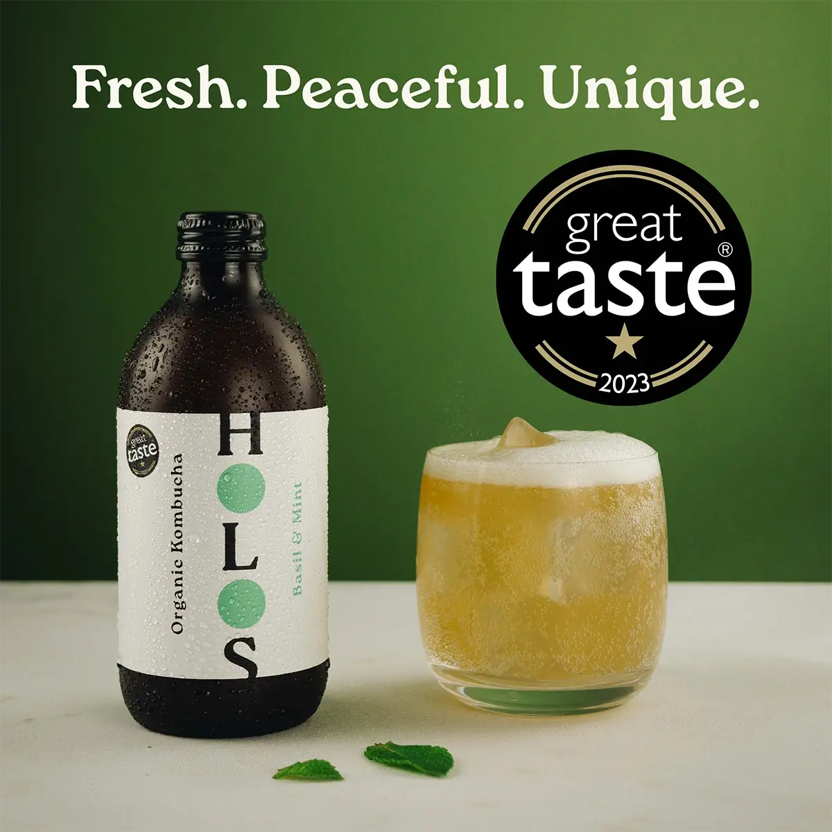 Kombucha bio Holos Basilic et Menthe 330 ml - Lot de 12