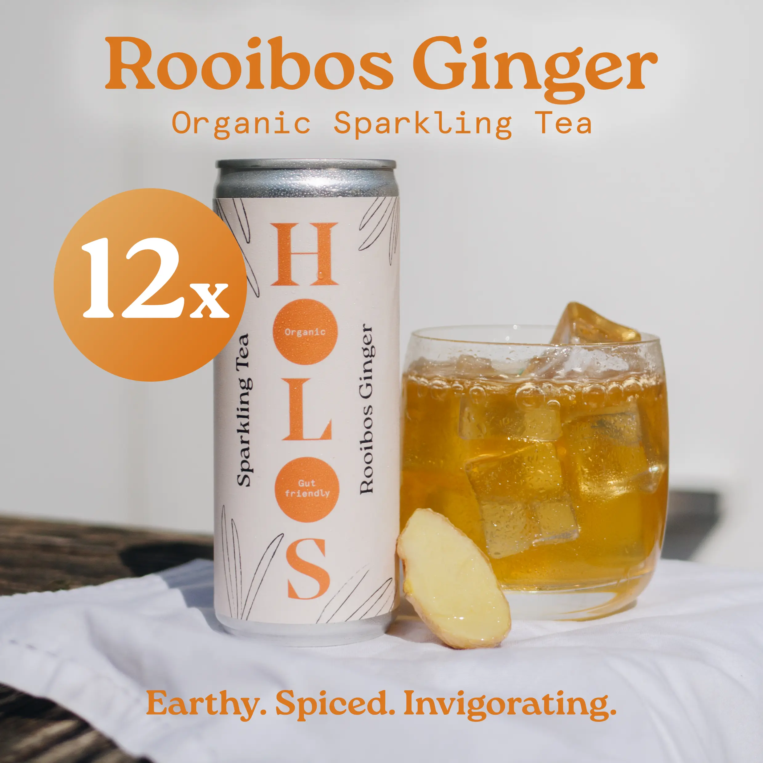 Thé pétillant bio Rooibos Gingembre Holos 250 ml - Lot de 12