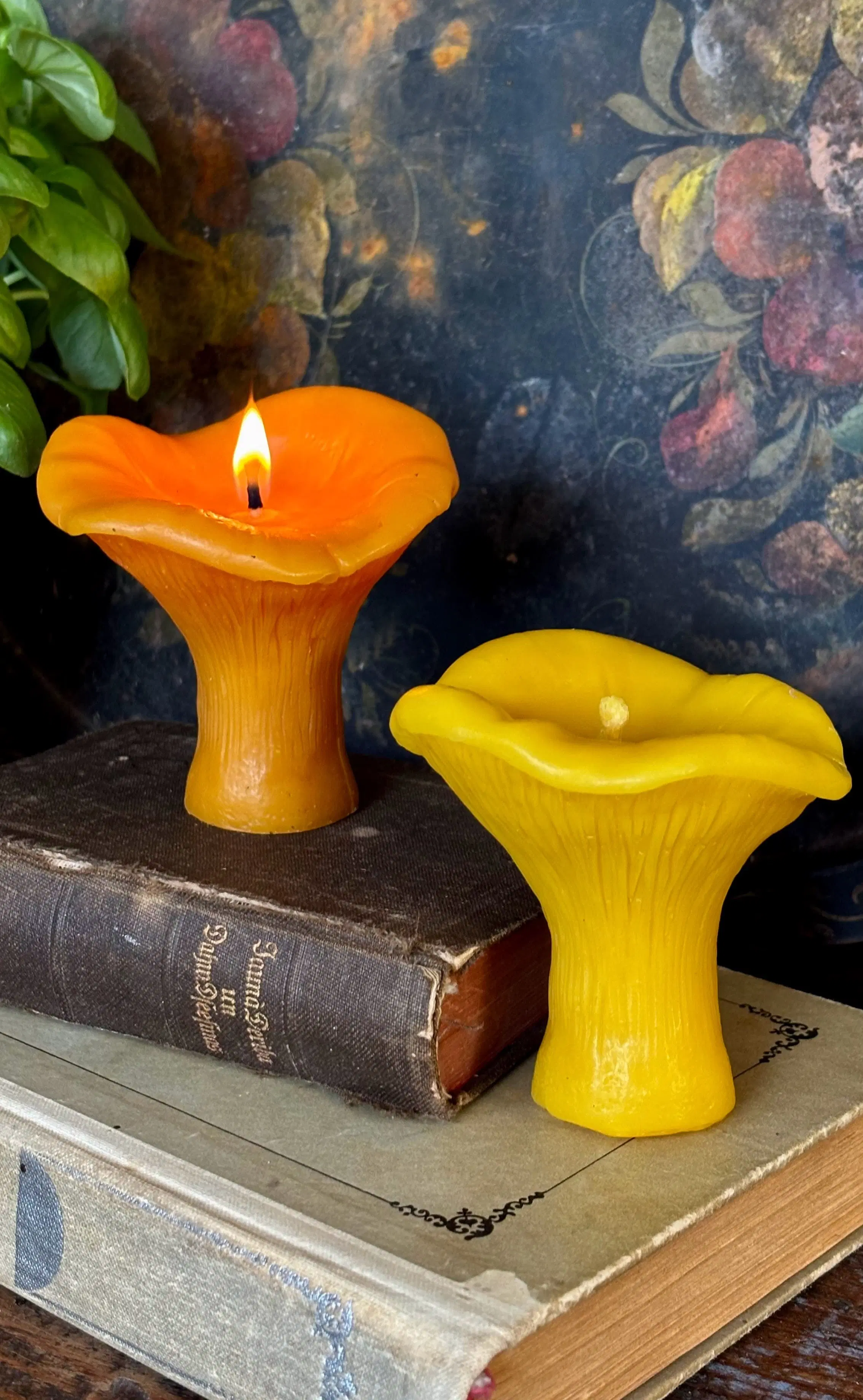 Chanterelle Candle: Natural Beeswax - Clean Burning