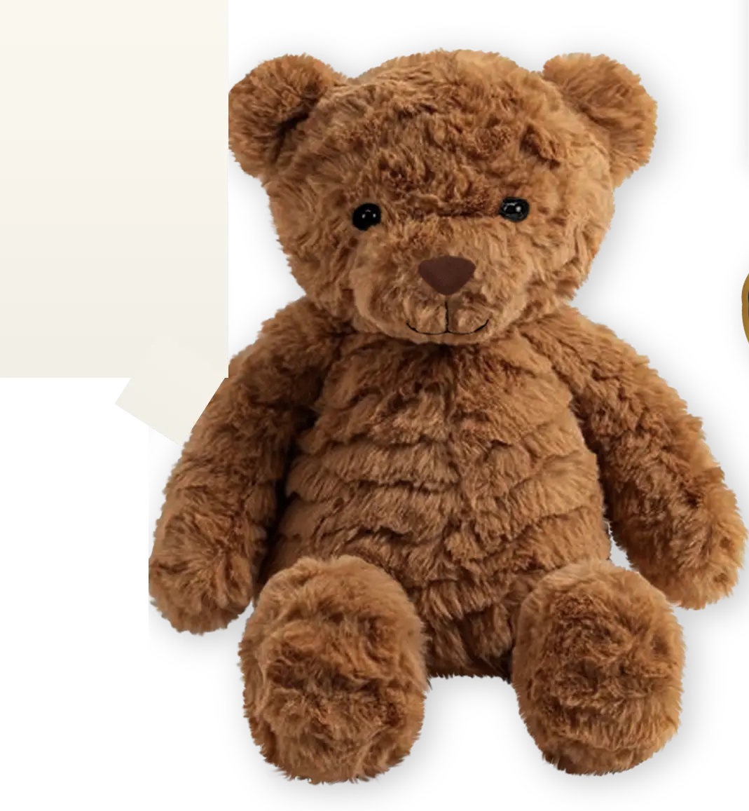Aroma Home Bertie Bear Hottie
