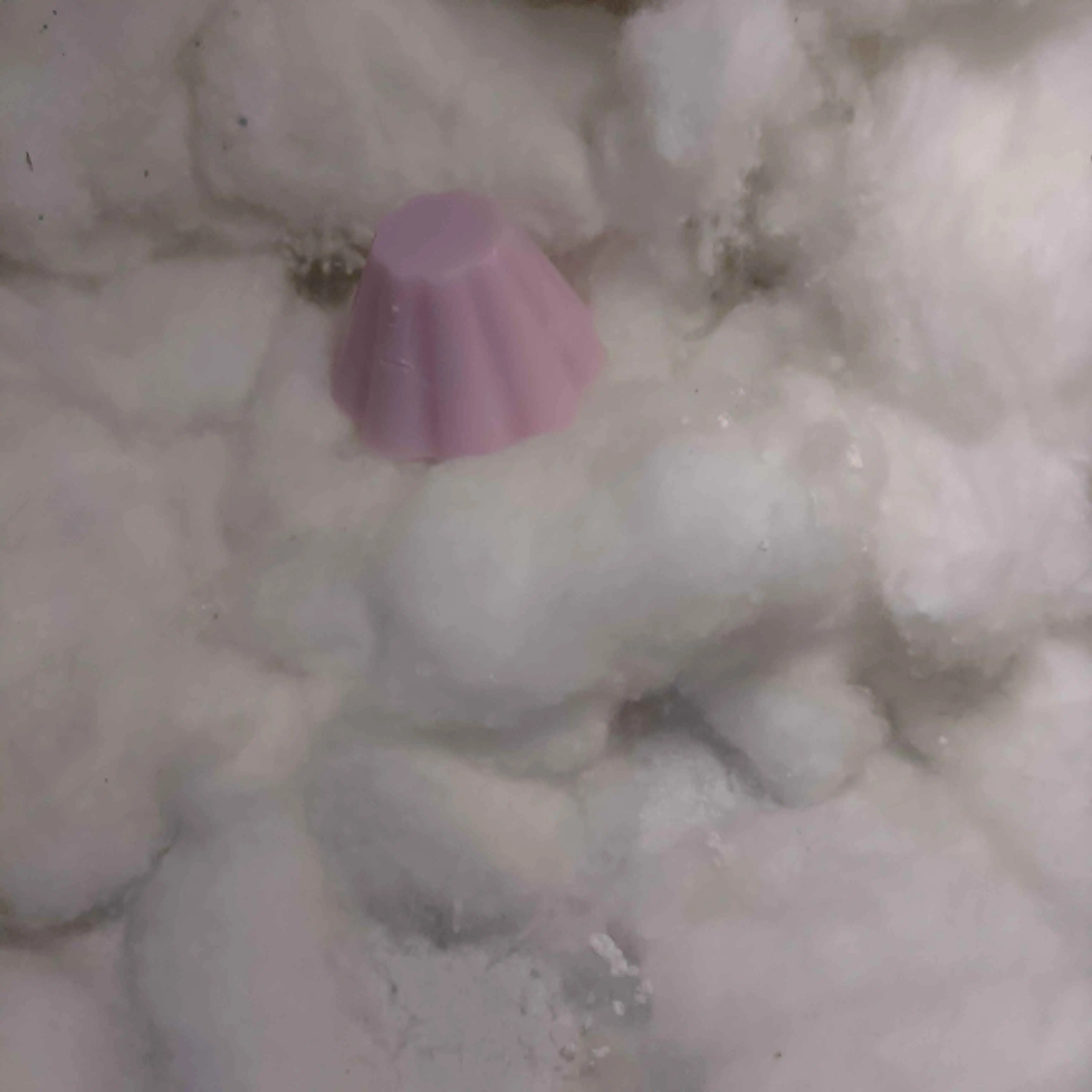 Gourmet Scented Melts | Artisan Pastry Scent 16g