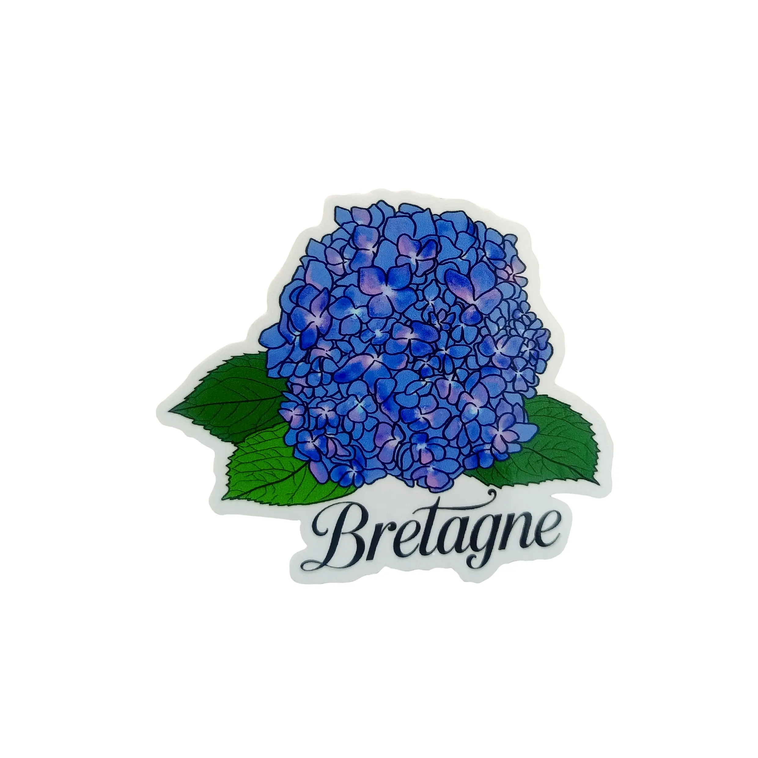 Brittany vinyl sticker
