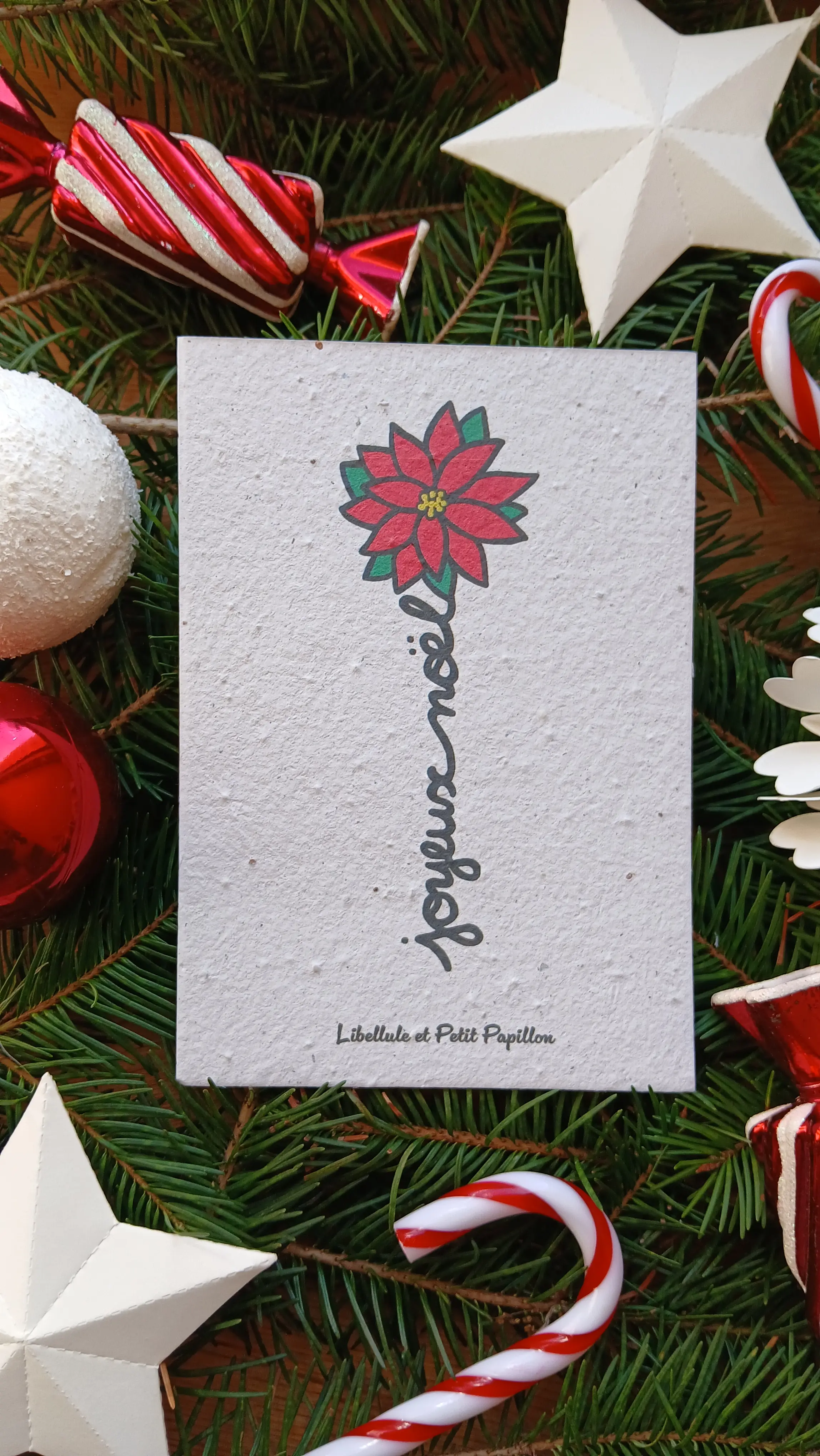 Plantable card made of seed paper – Organic and bee-friendly flowers – Christmas flower