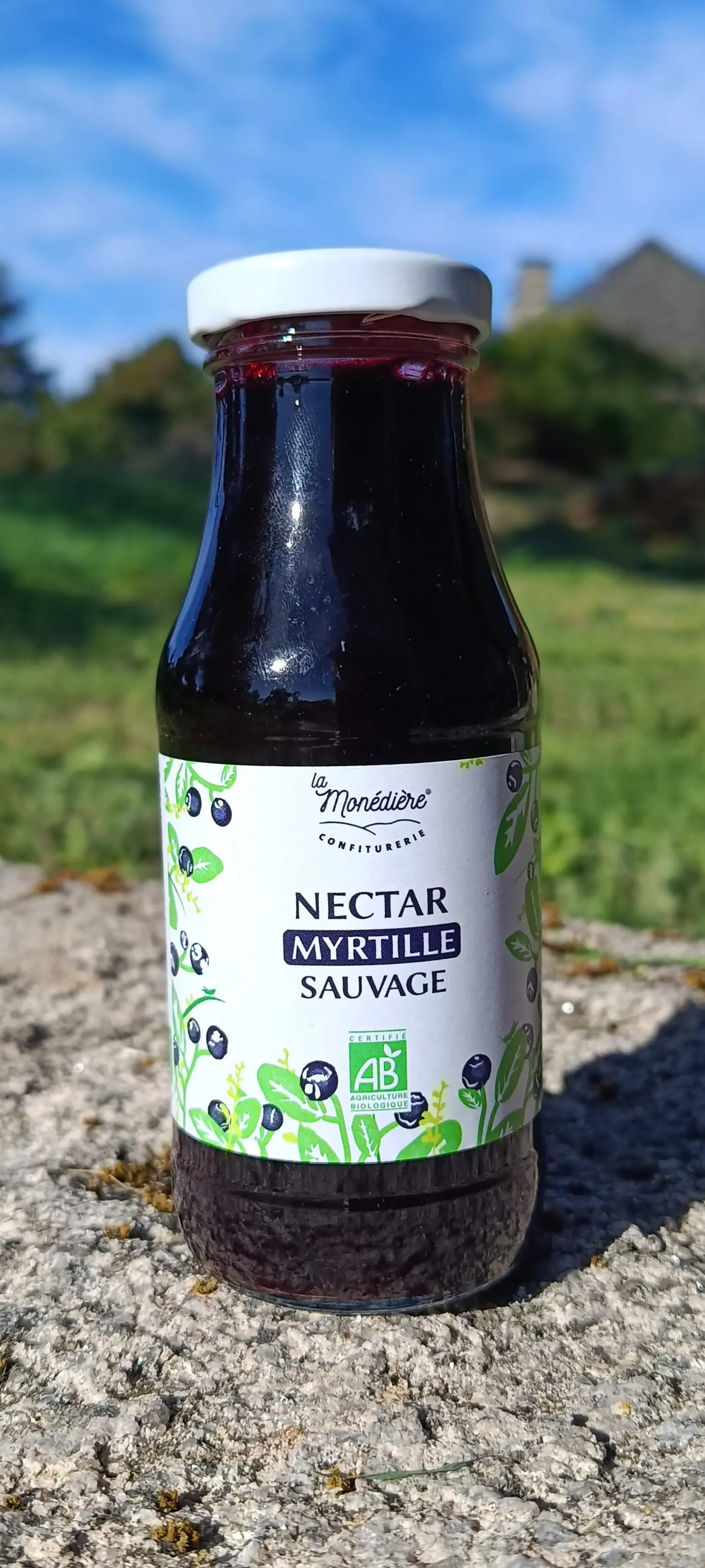 Nectar de Myrtilles sauvages 25 cl