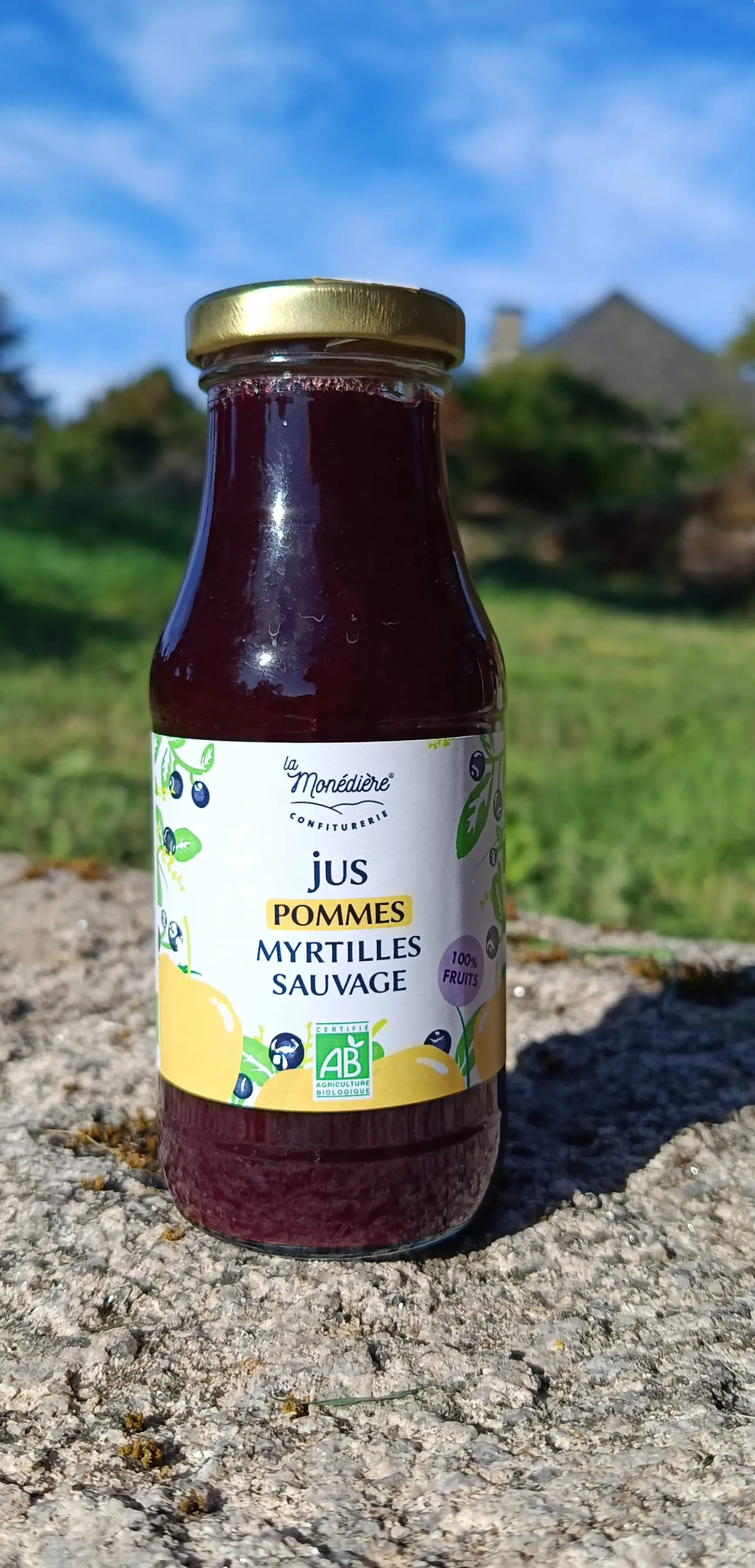 Jus Pommes Myrtilles sauvages 25 cl