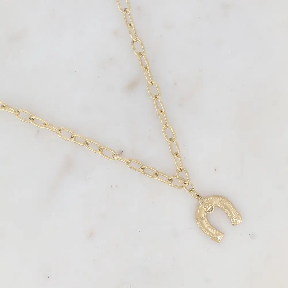 Collier maille avec fer à cheval
